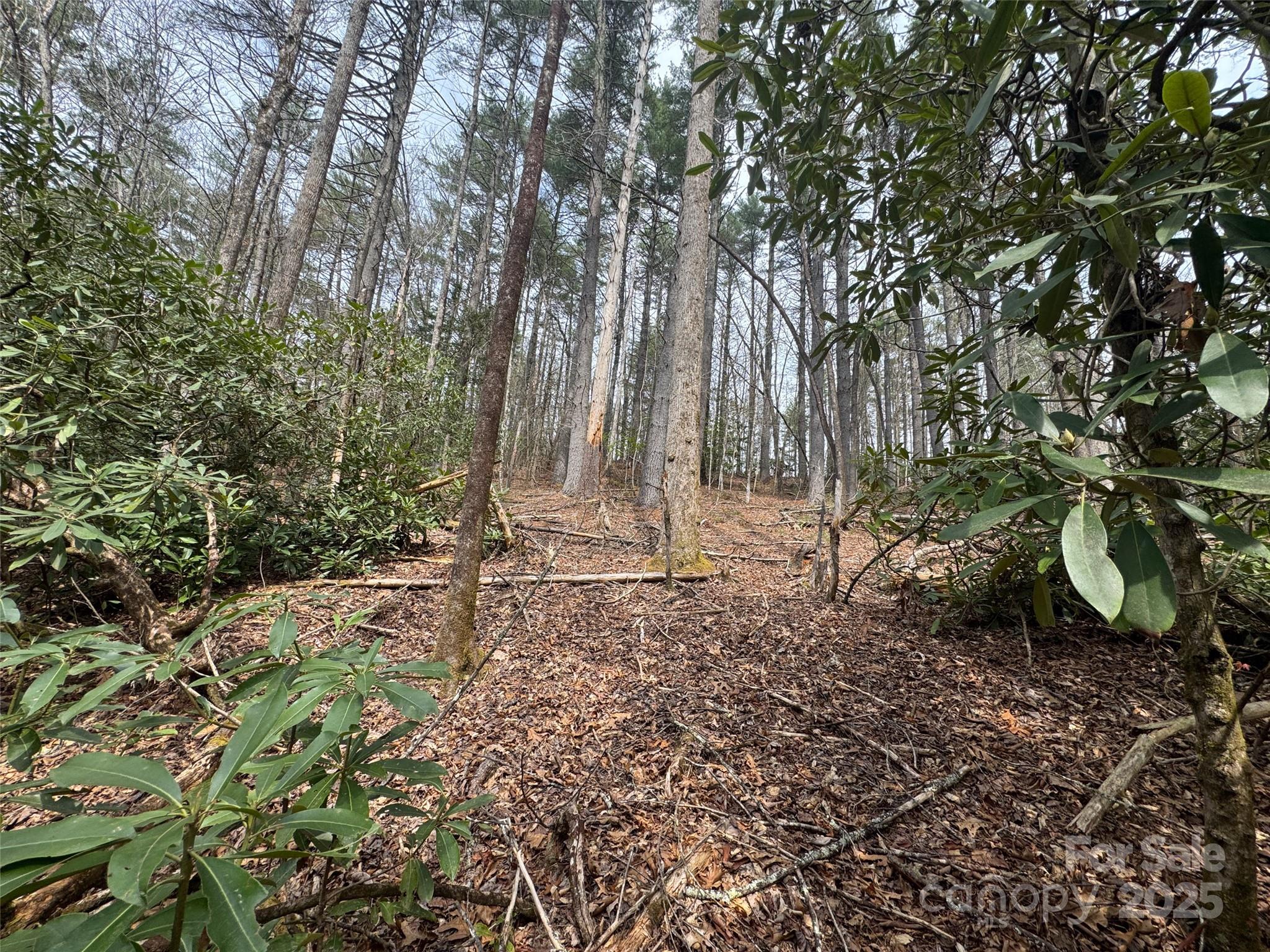 Tract A Cherrywood Lane A Property Photo 6