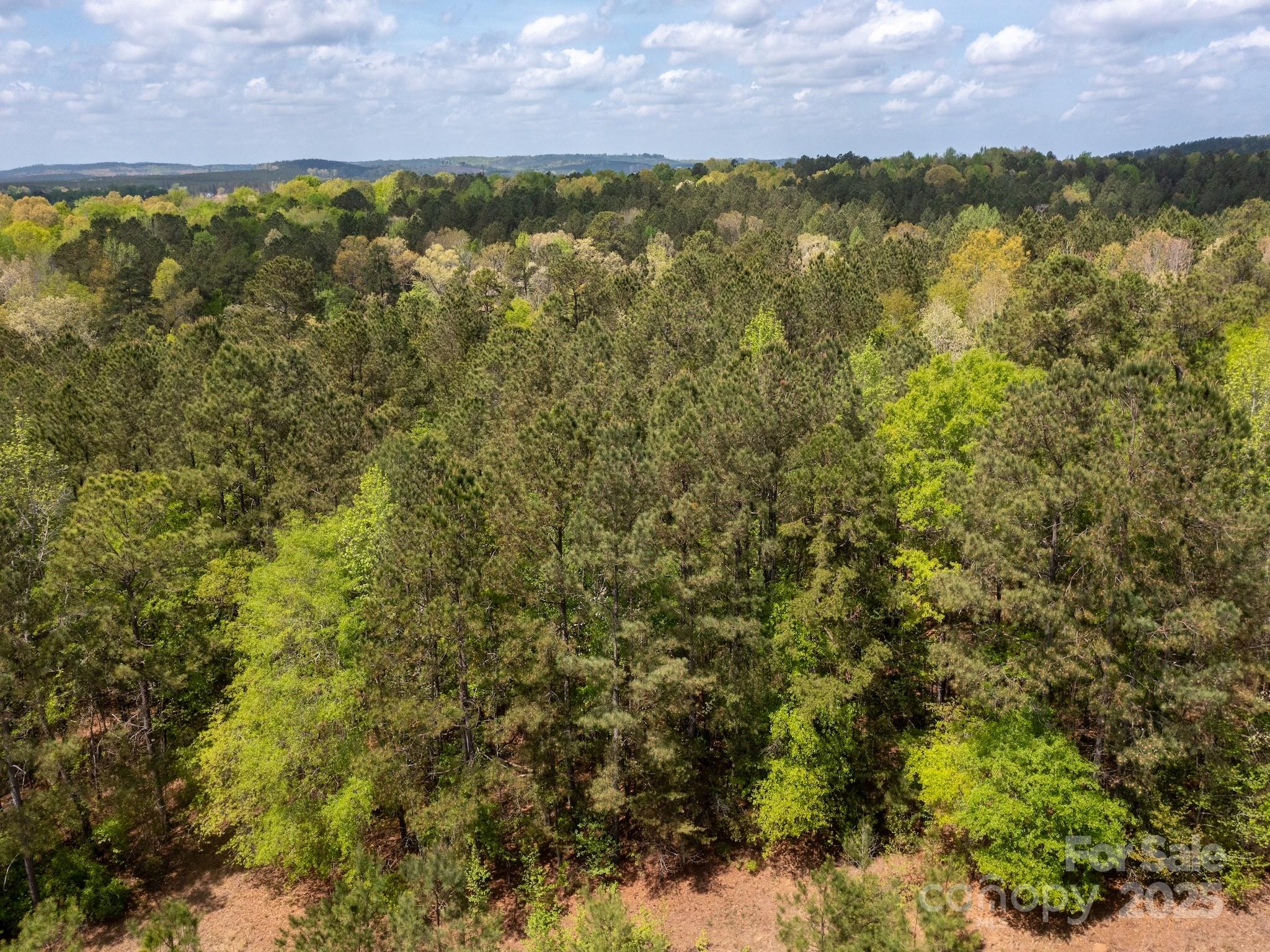 107 N State Lane Property Photo 4