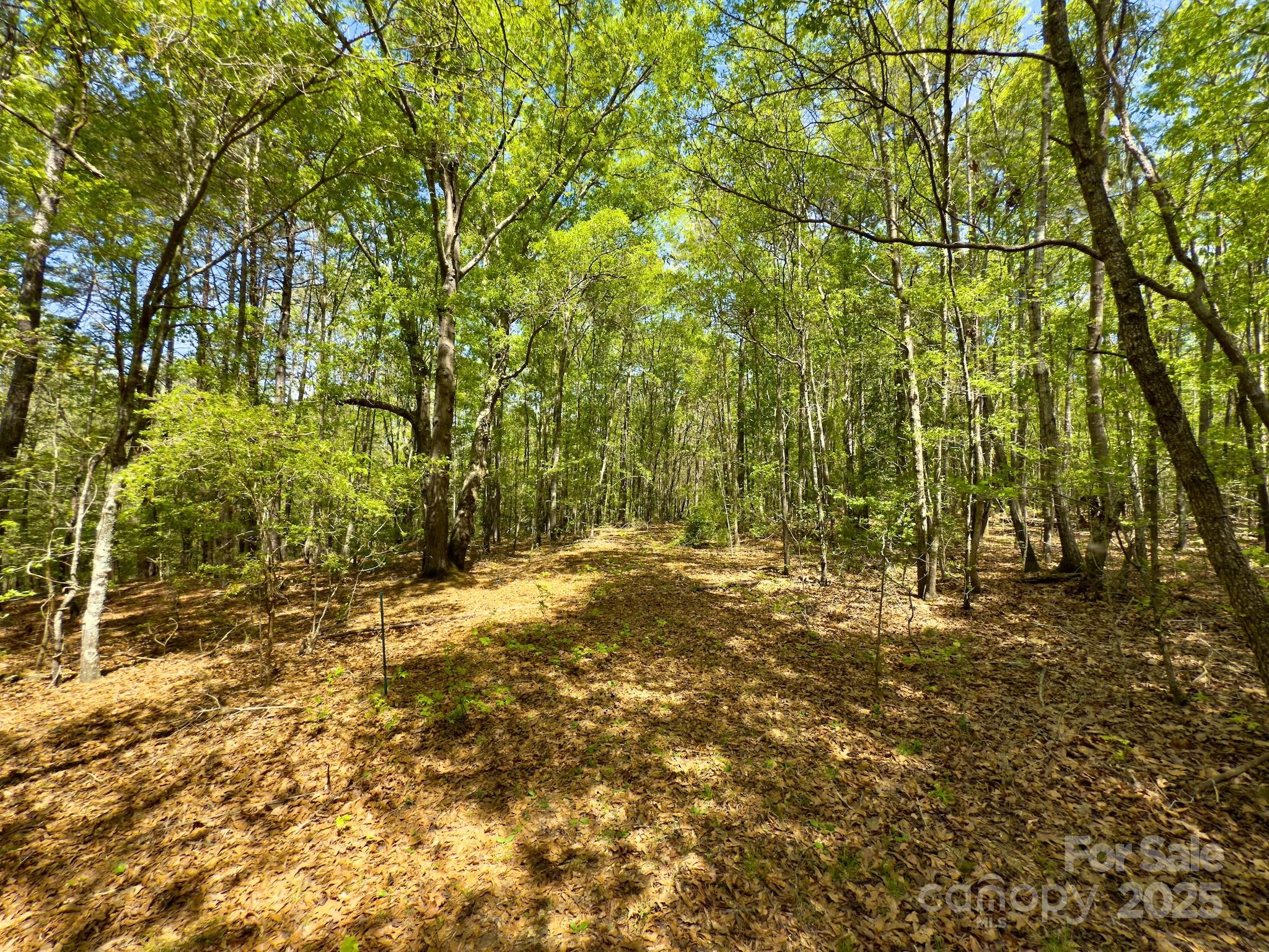107 N State Lane Property Photo 8