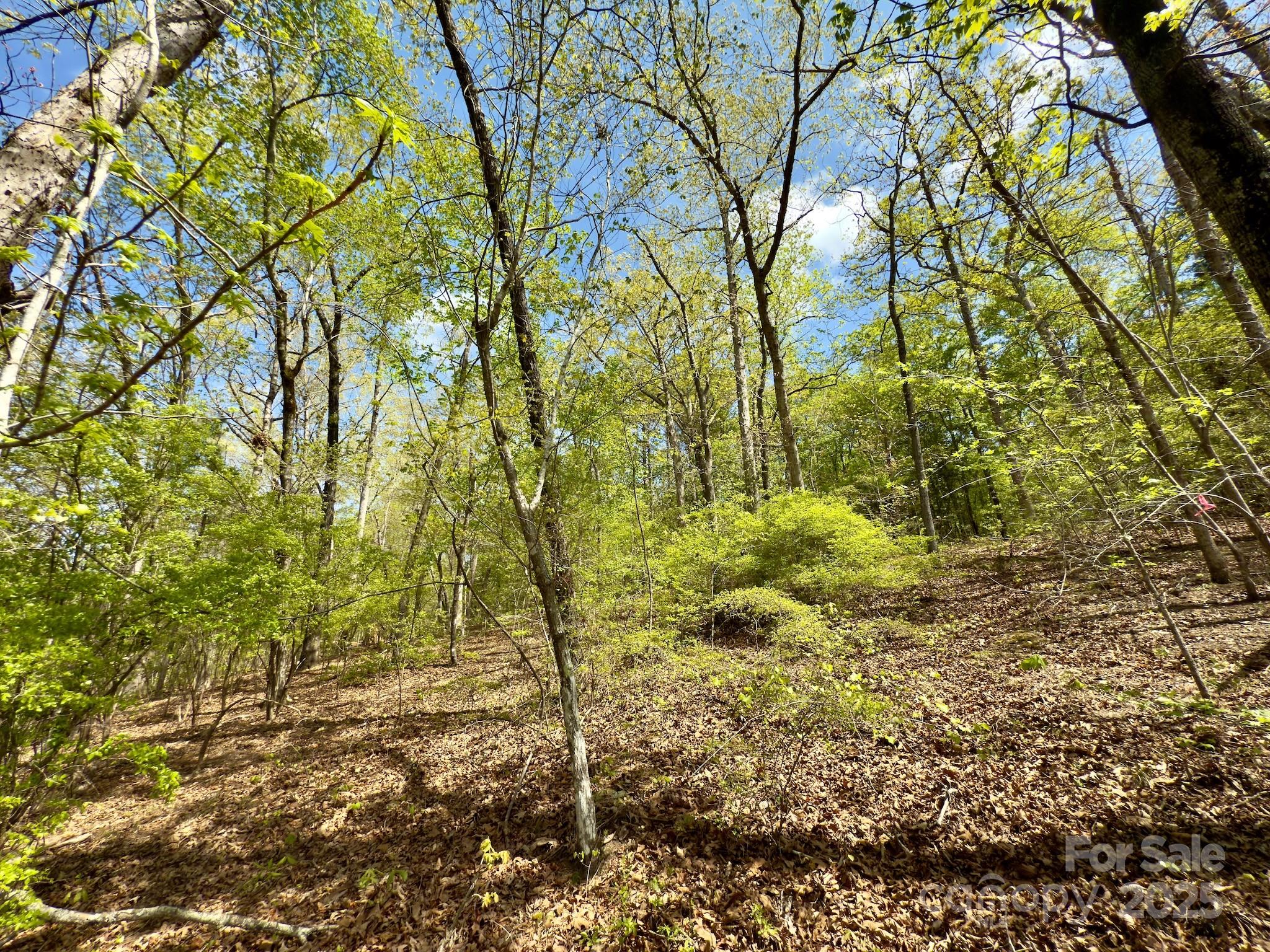 107 N State Lane Property Photo 14