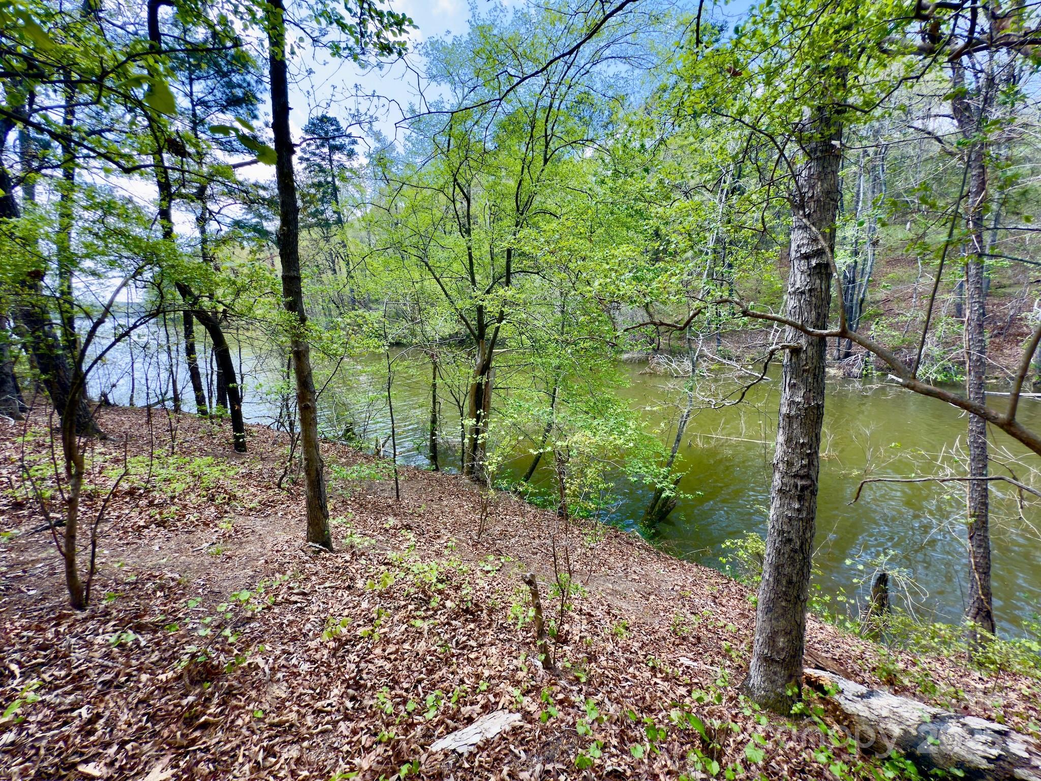 107 N State Lane Property Photo 23