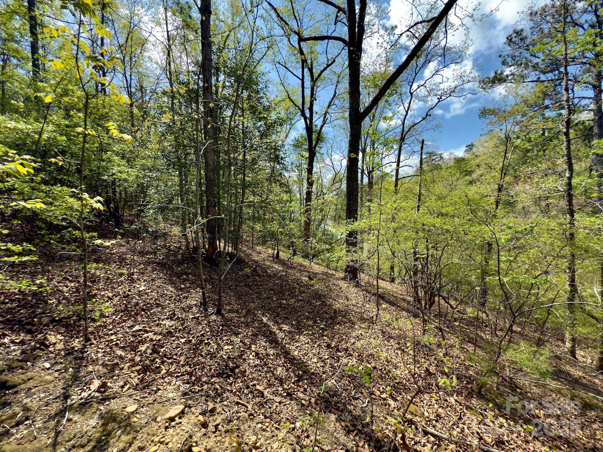107 N State Lane Property Photo 30