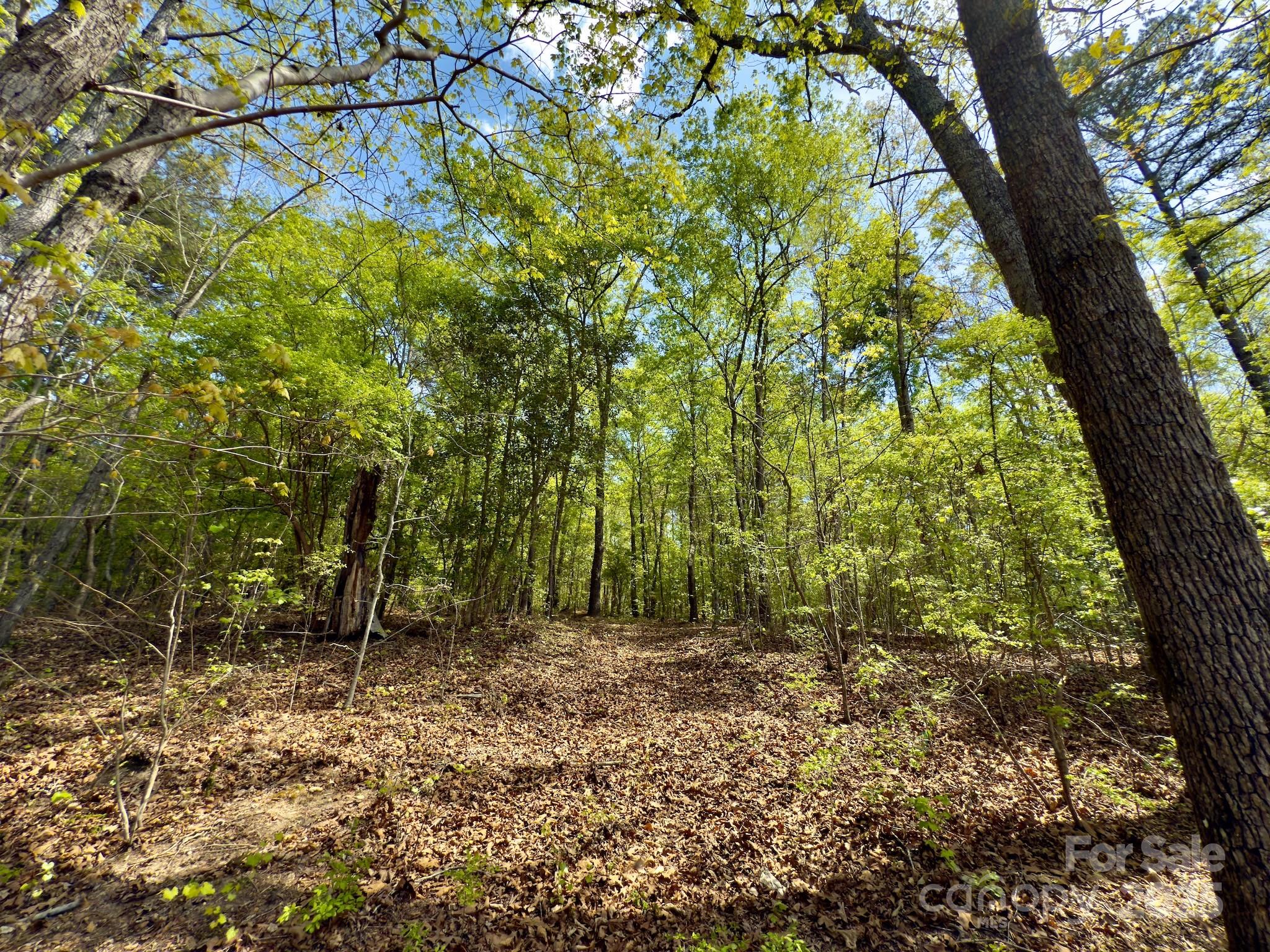 107 N State Lane Property Photo 31