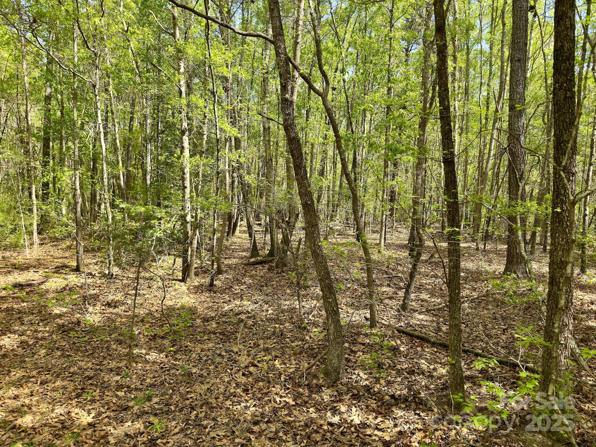 107 N State Lane Property Photo 34