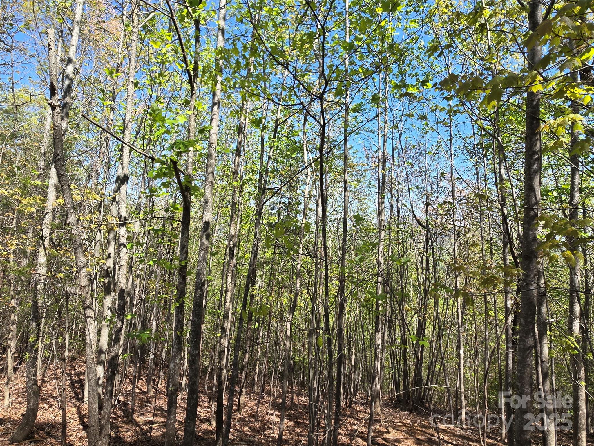 Lot 3 Hibiscus Court Property Photo