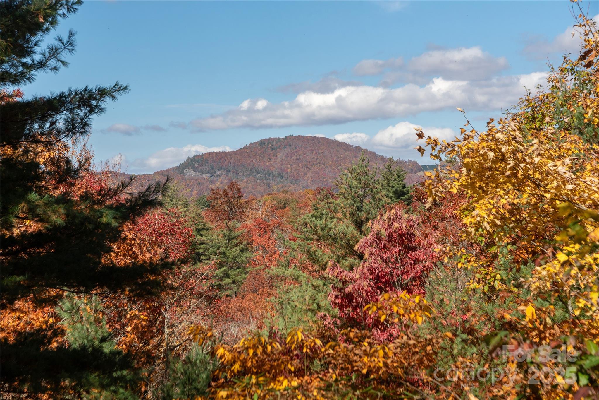 68 Qualla Trace Property Photo