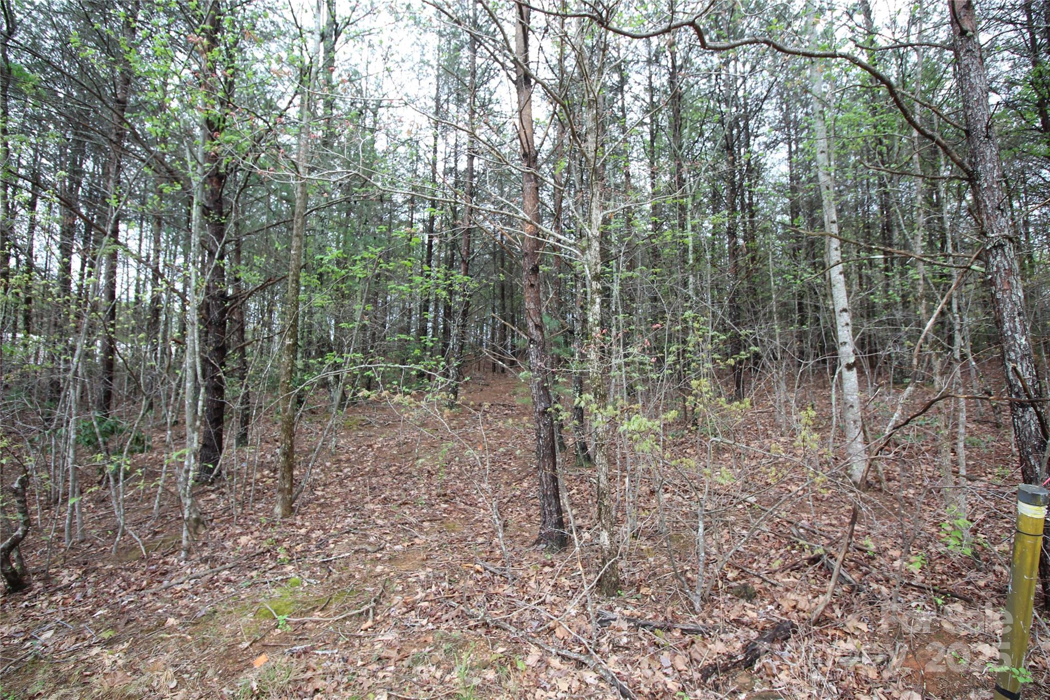 Lot 4 Ridge Way Lot 4 Property Photo