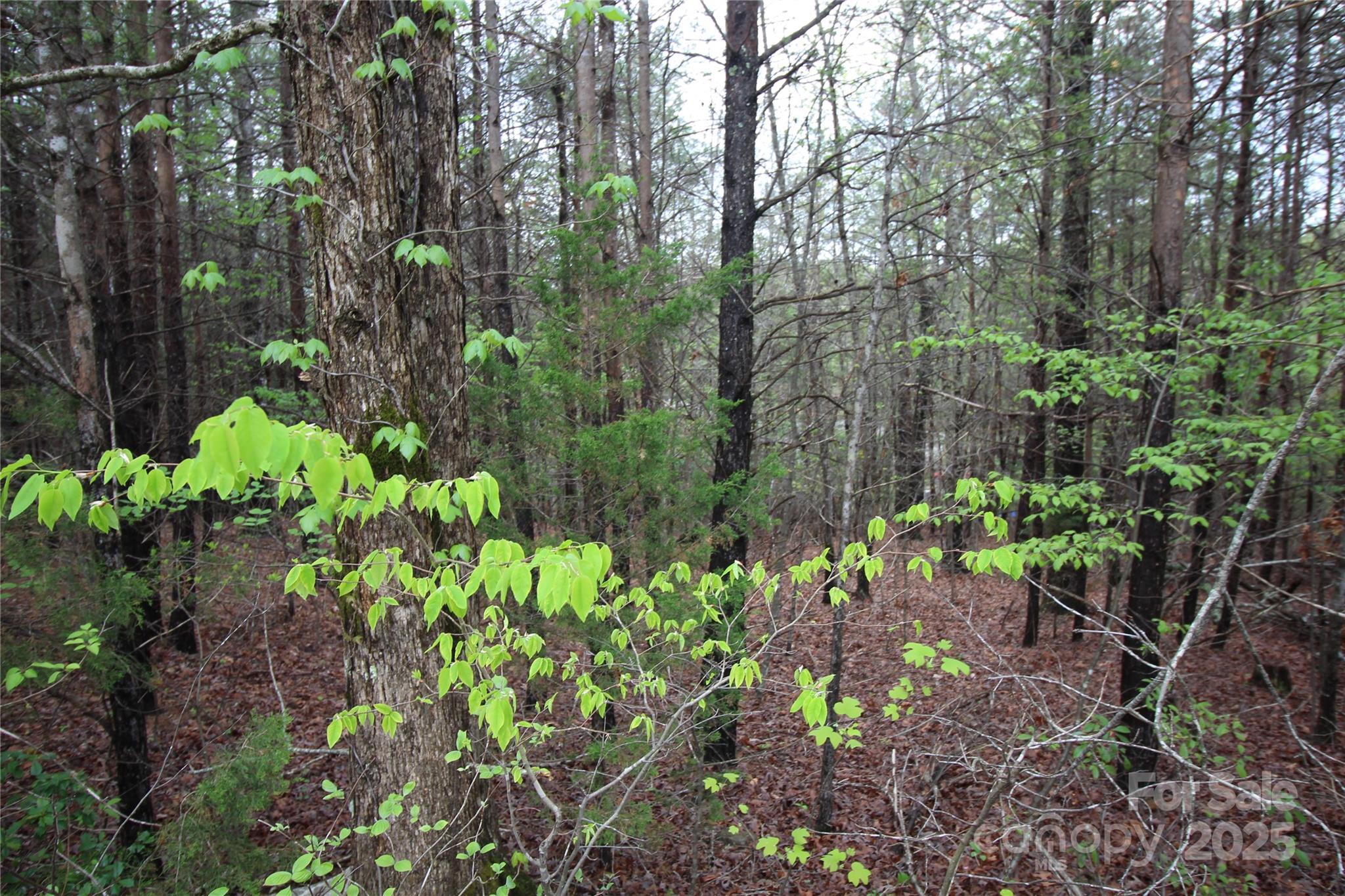 Lot #10 Ridge Way Lot 10 Property Photo