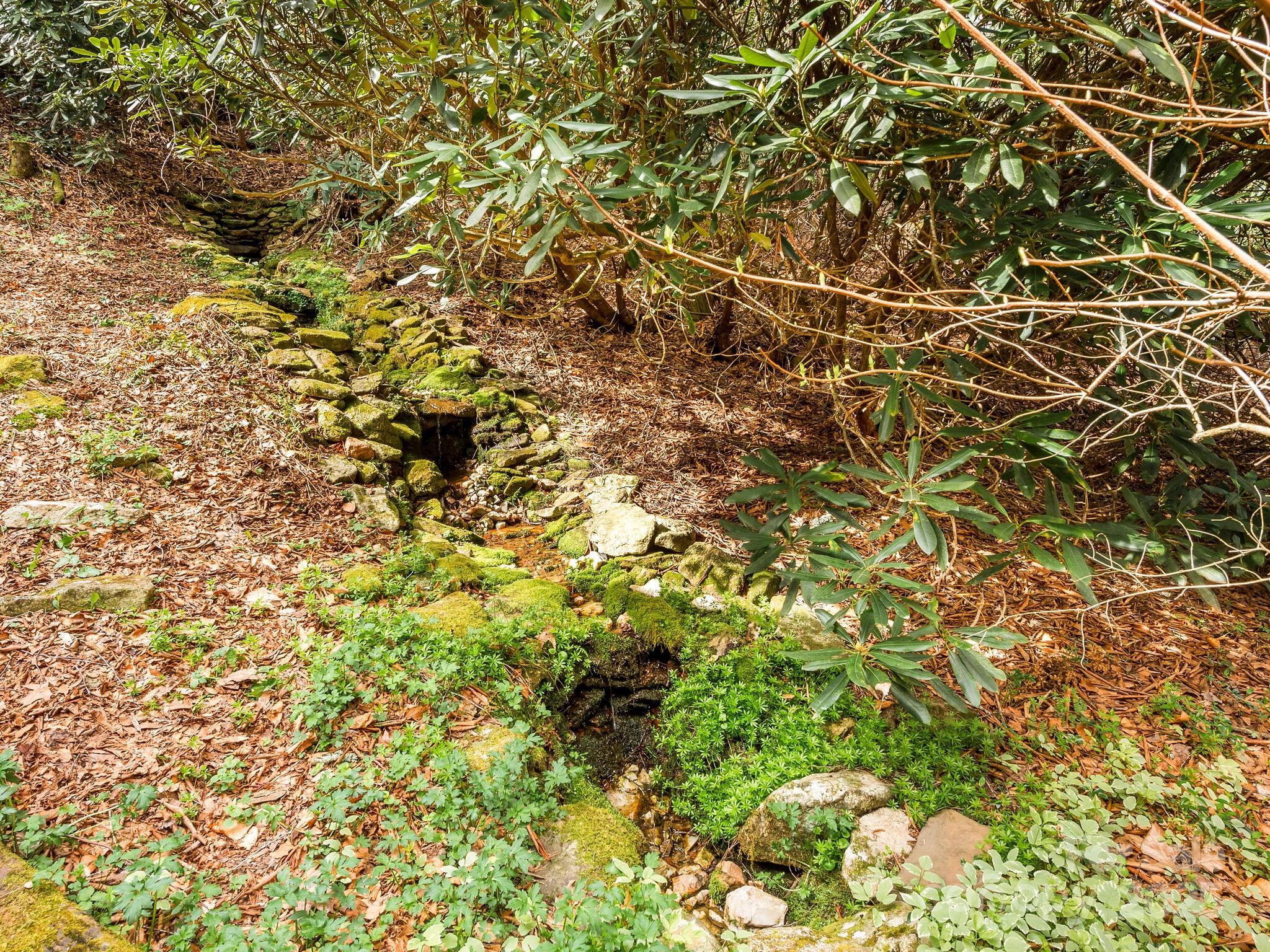 70 Fox Run Property Photo 23