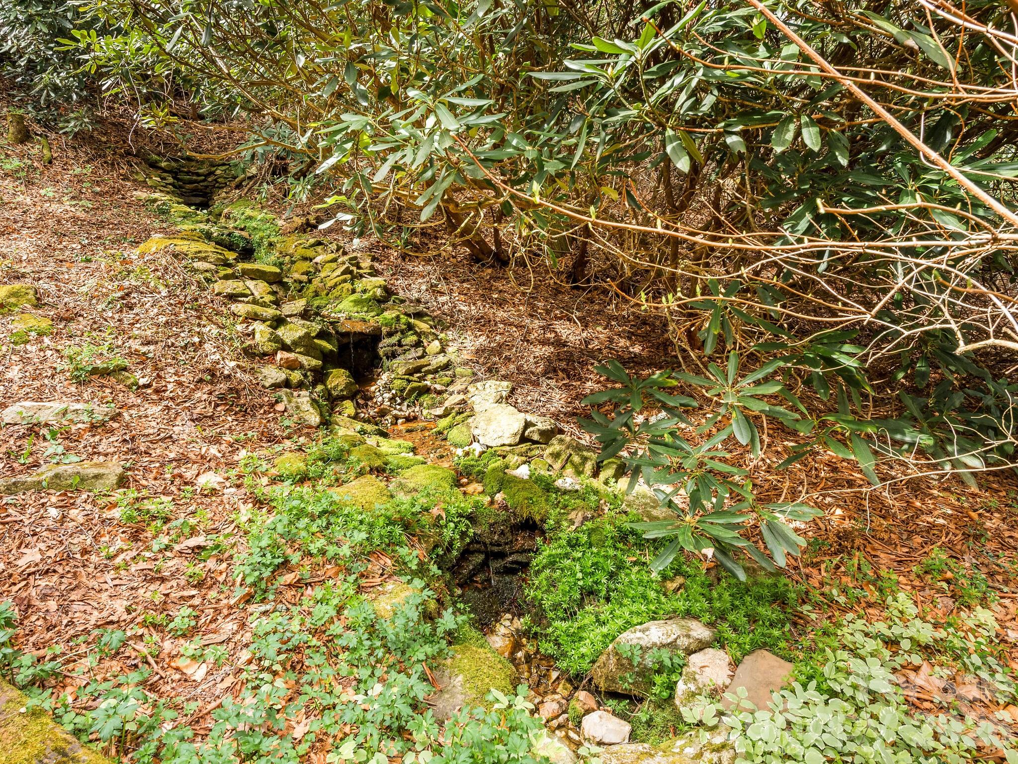 70 Fox Run Property Photo 23