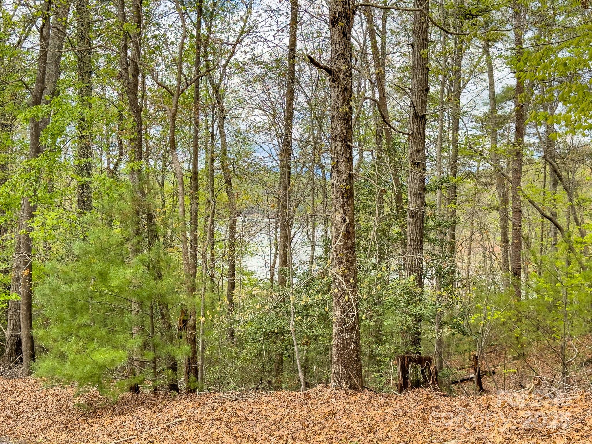 0 Memory Lane 12 Property Photo 2