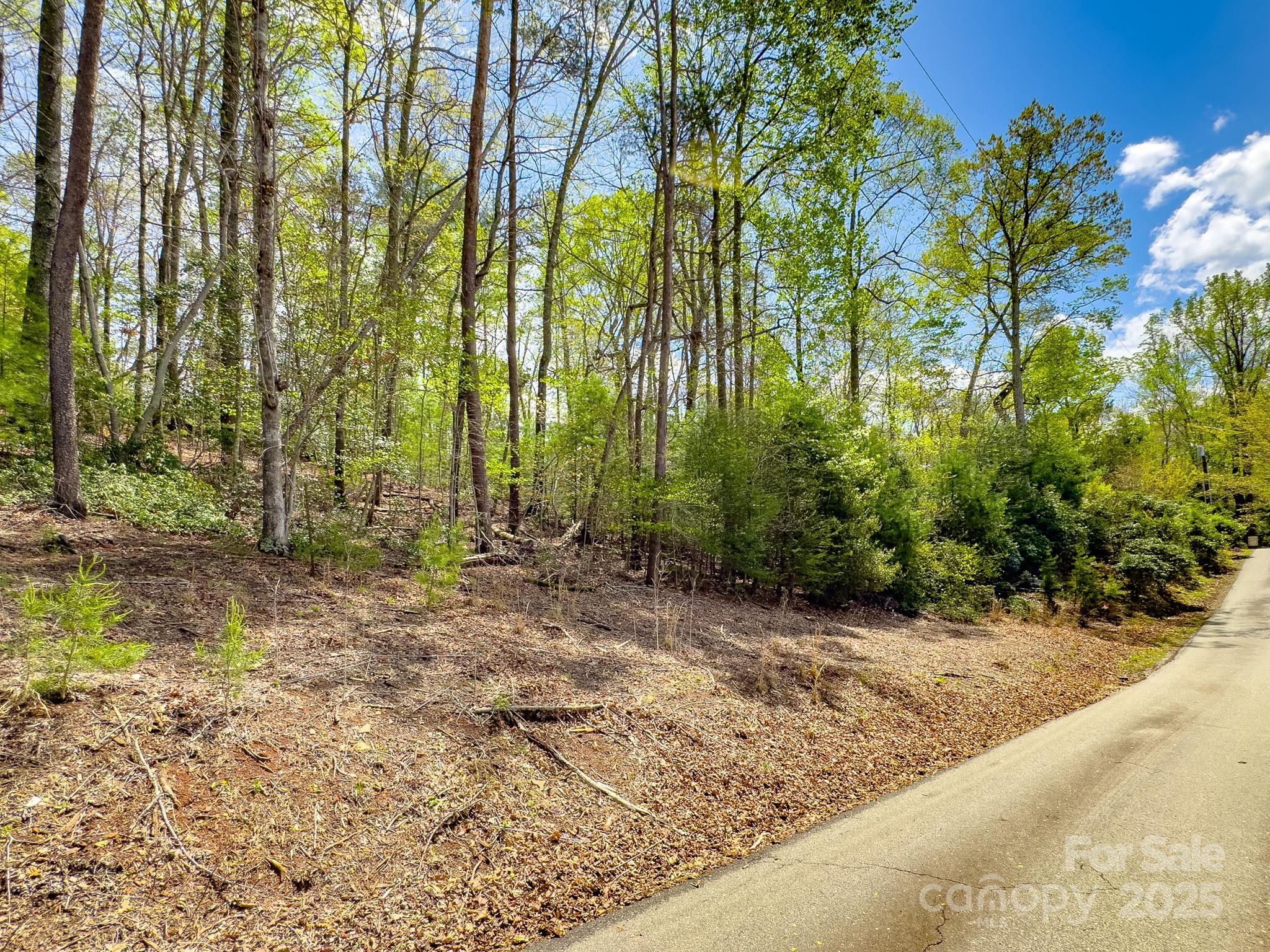 0 Memory Lane 12 Property Photo 8