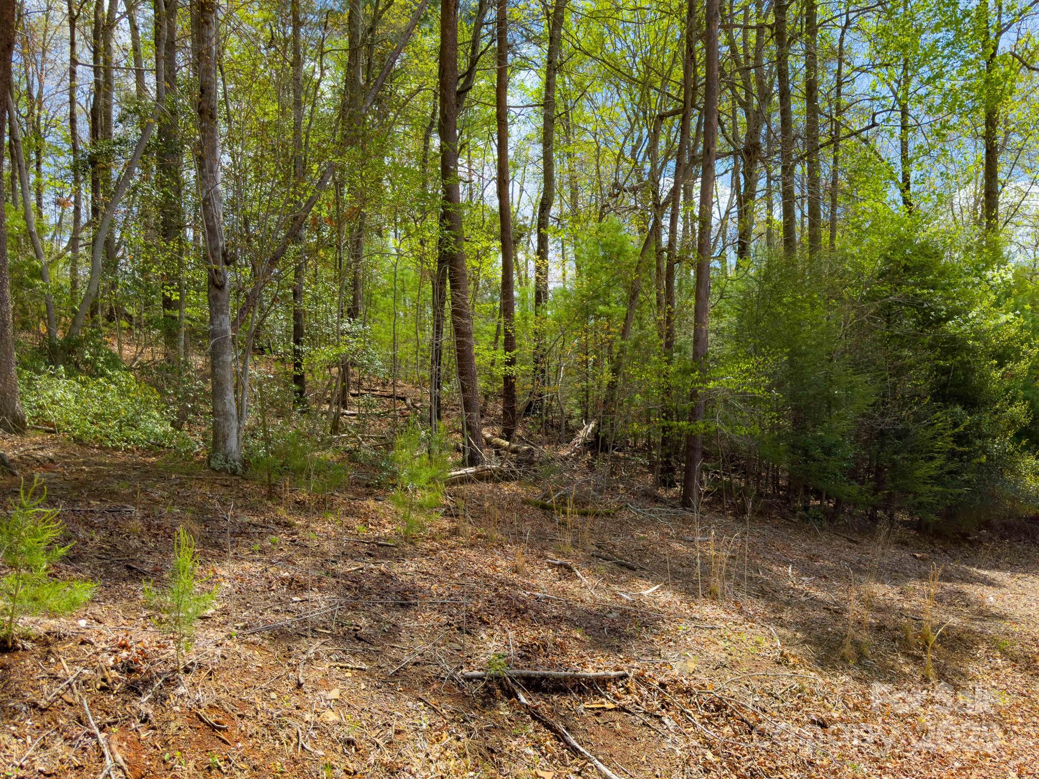 0 Memory Lane 12 Property Photo 10