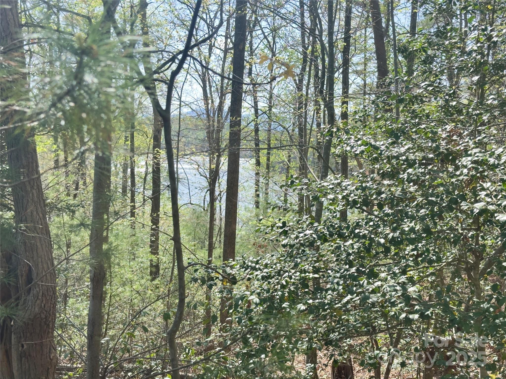 0 Memory Lane 12 Property Photo 11