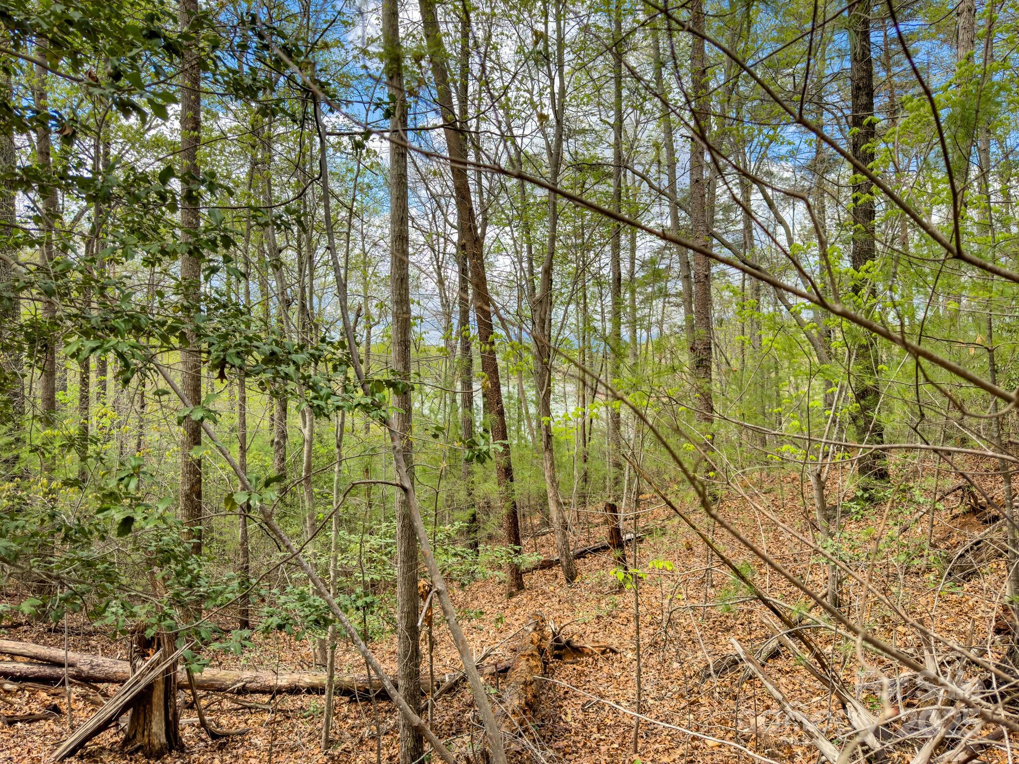 0 Memory Lane 12 Property Photo 12