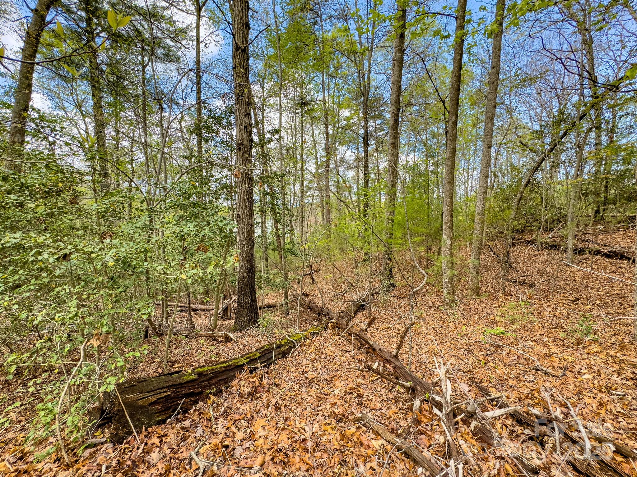 0 Memory Lane 12 Property Photo 13