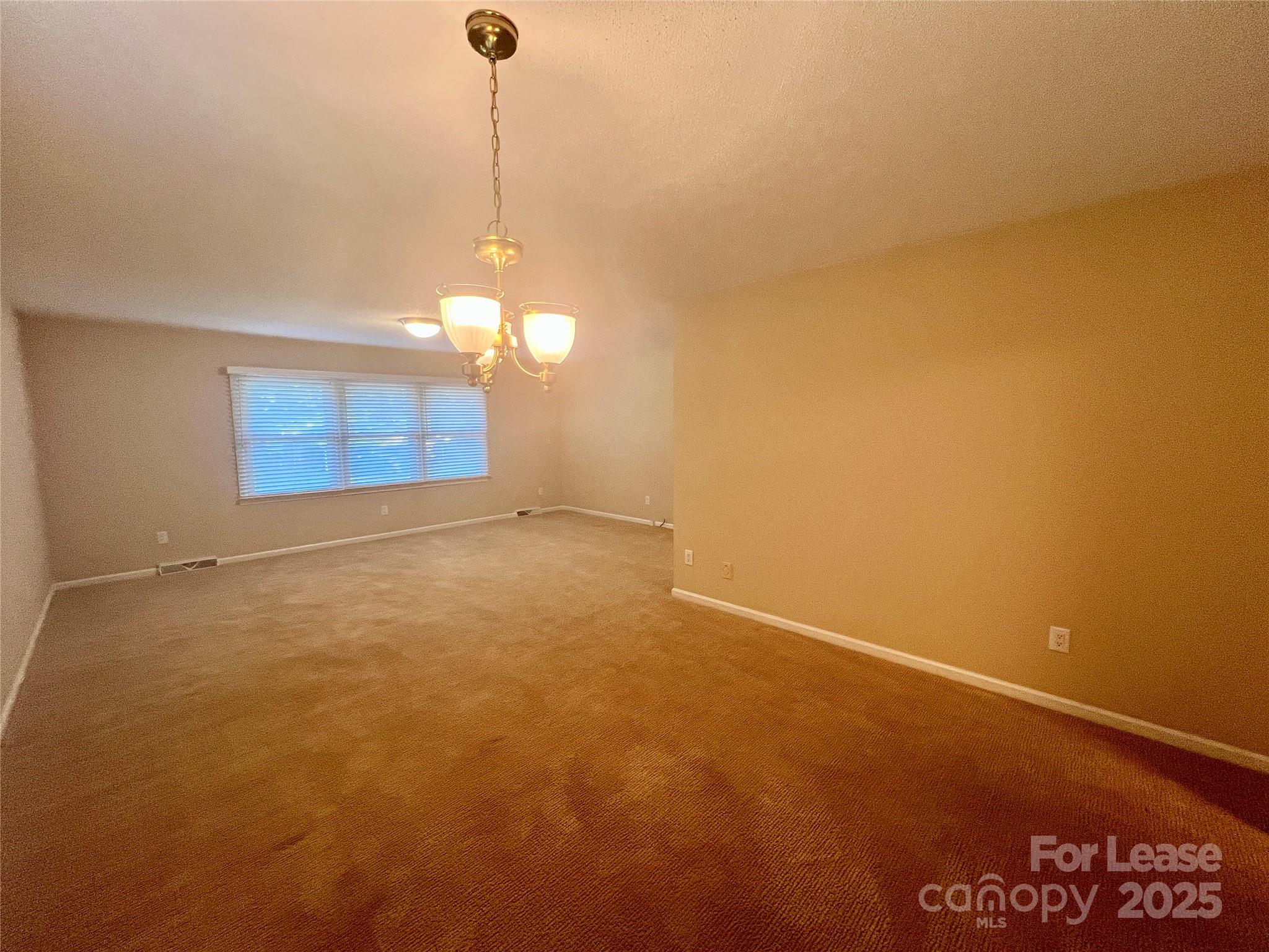 294 Spicewood Circle Property Photo 8