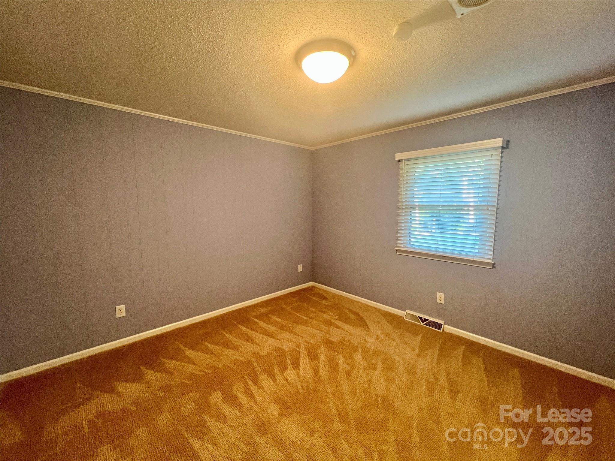 294 Spicewood Circle Property Photo 19