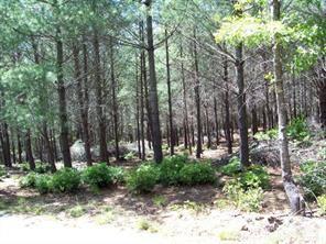 1552 Bear Cliff Drive 31 Property Photo 2