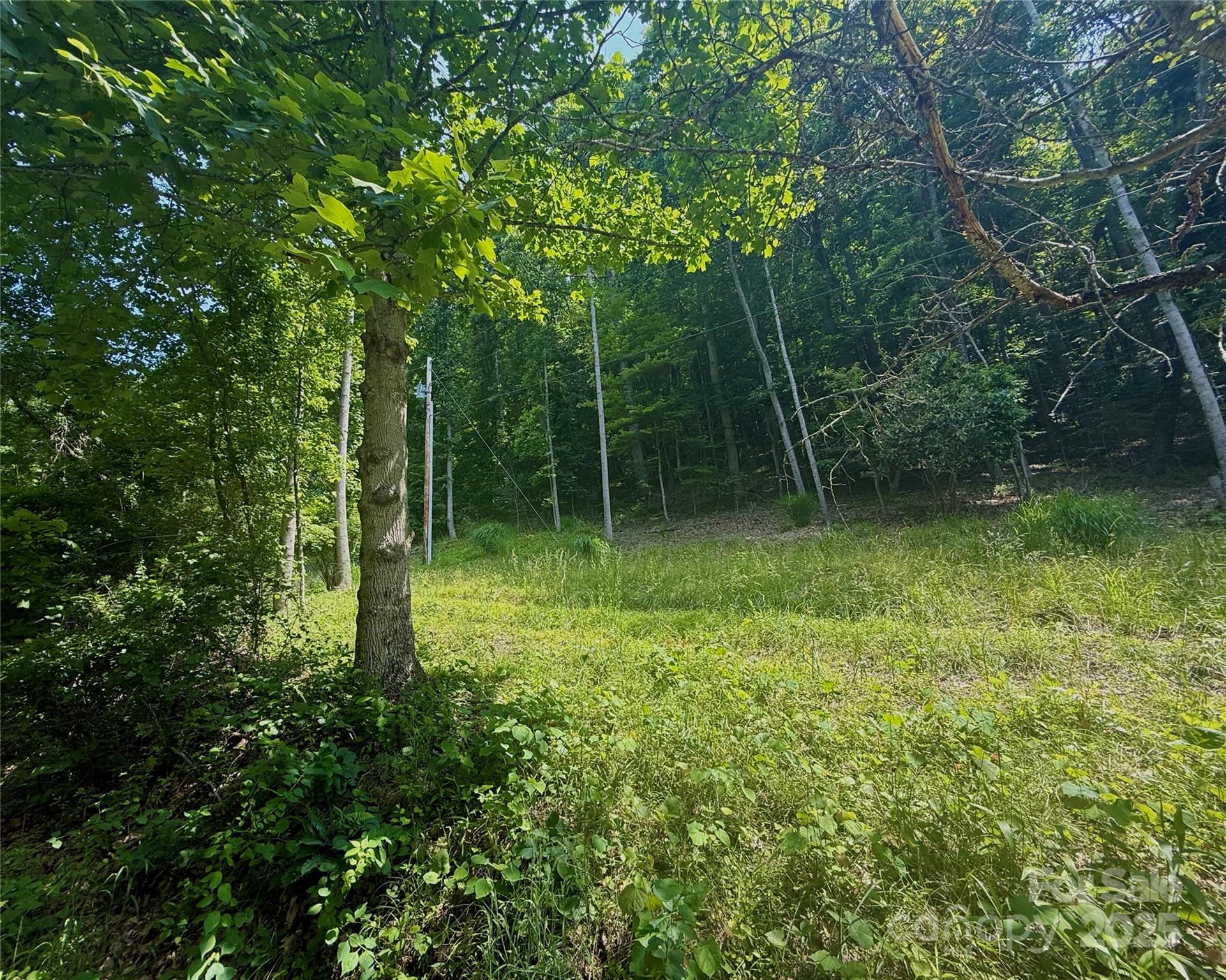 700 Wooded Mountain Trail Property Photo 1