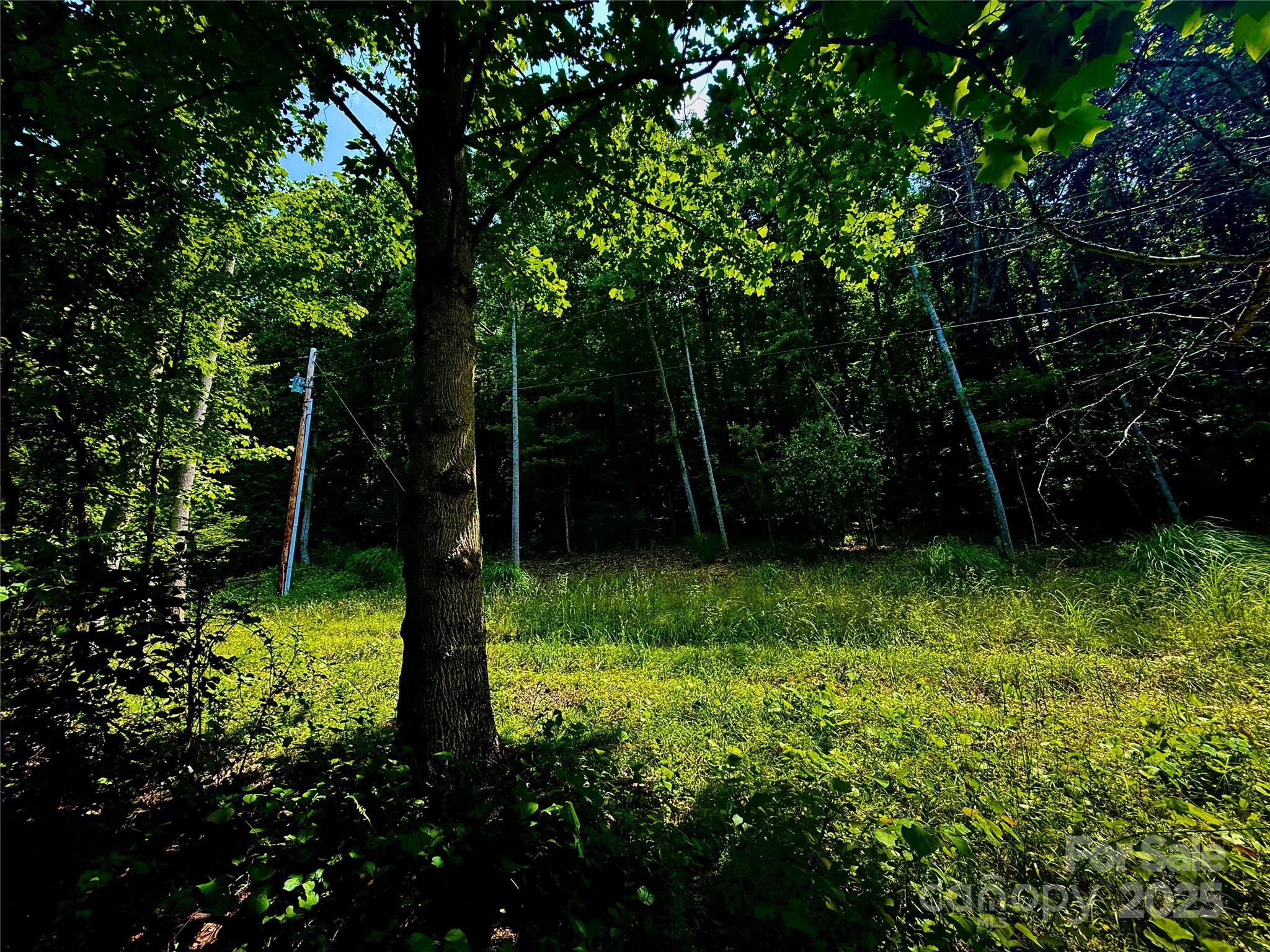 700 Wooded Mountain Trail Property Photo 3