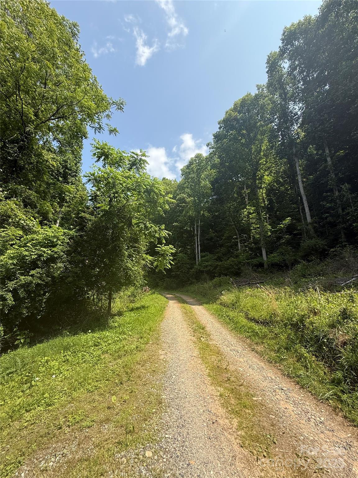 700 Wooded Mountain Trail Property Photo 4