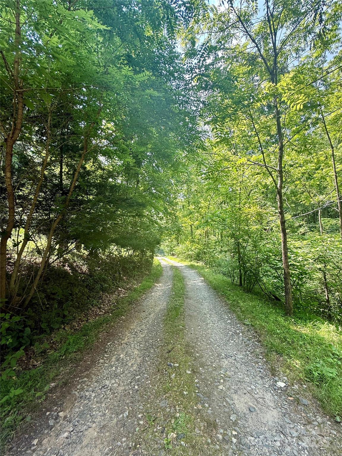 700 Wooded Mountain Trail Property Photo 5