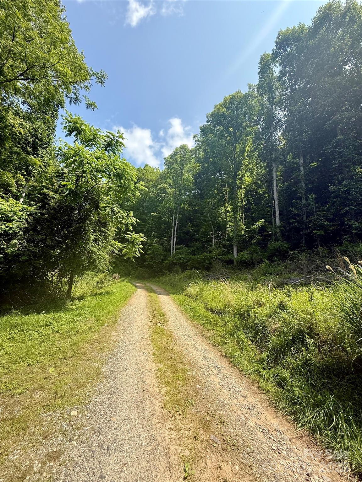 700 Wooded Mountain Trail Property Photo 6