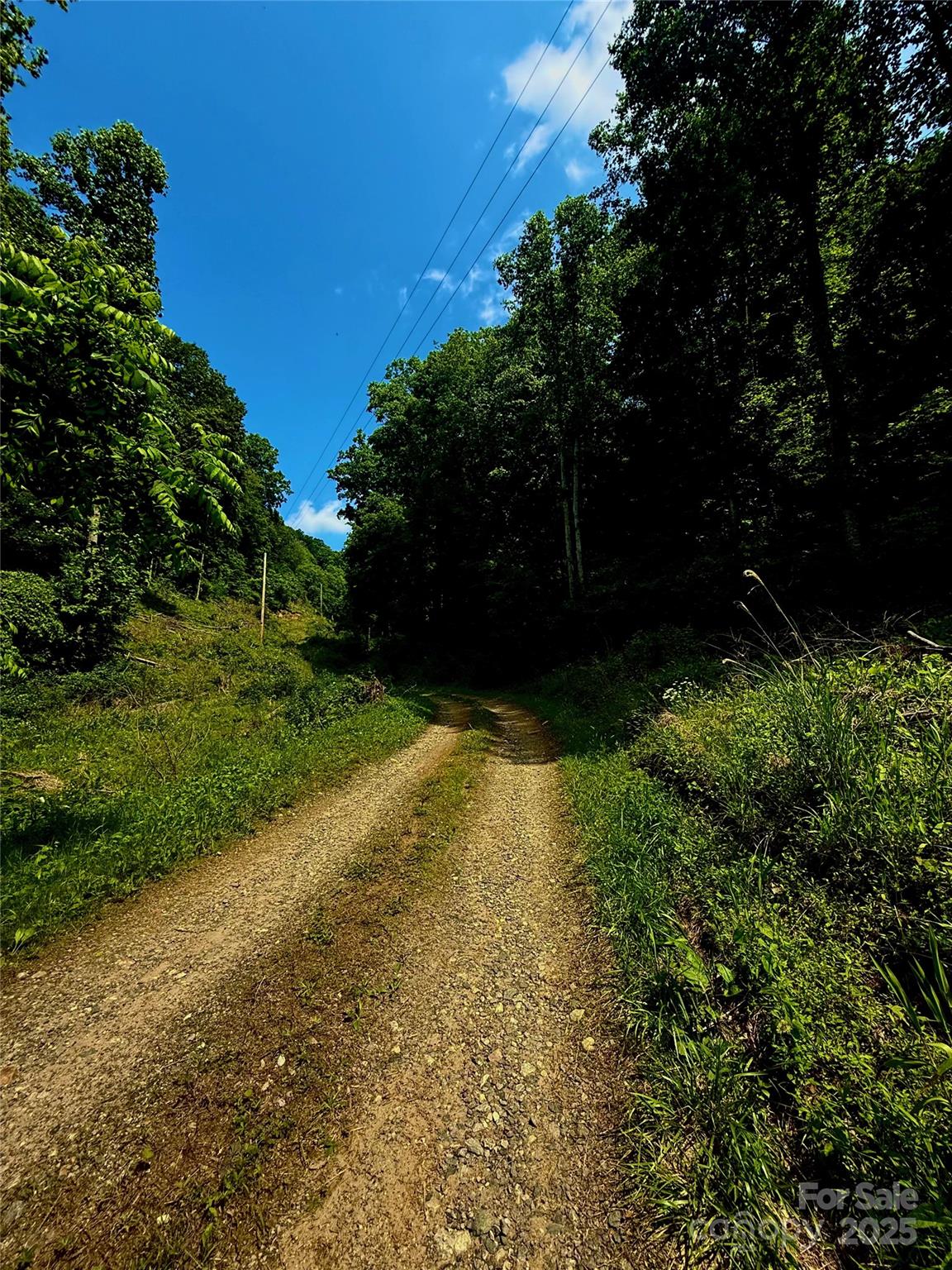 700 Wooded Mountain Trail Property Photo 7