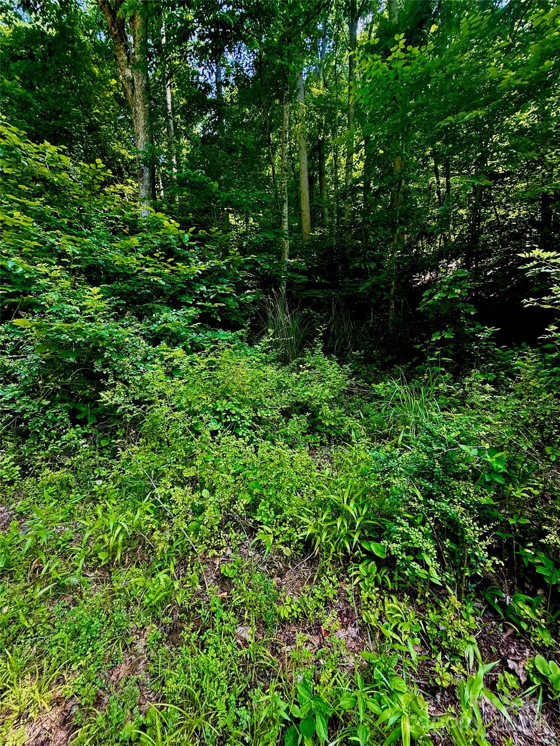 700 Wooded Mountain Trail Property Photo 10