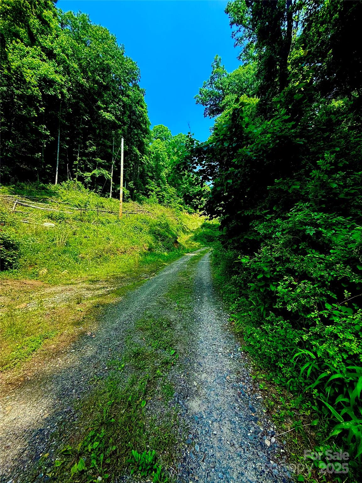 700 Wooded Mountain Trail Property Photo 11