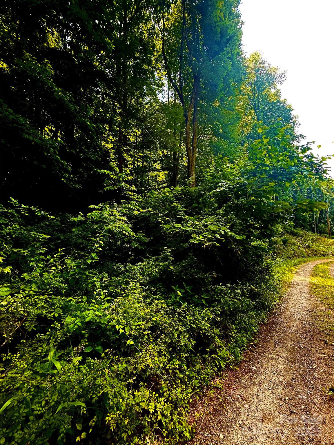 700 Wooded Mountain Trail Property Photo 12