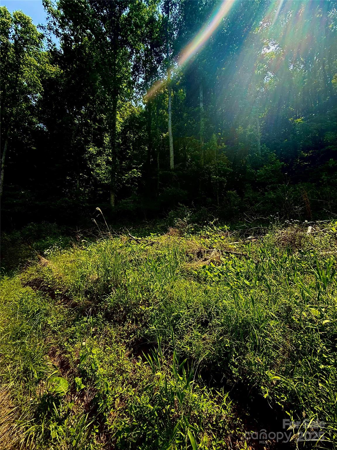 700 Wooded Mountain Trail Property Photo 13