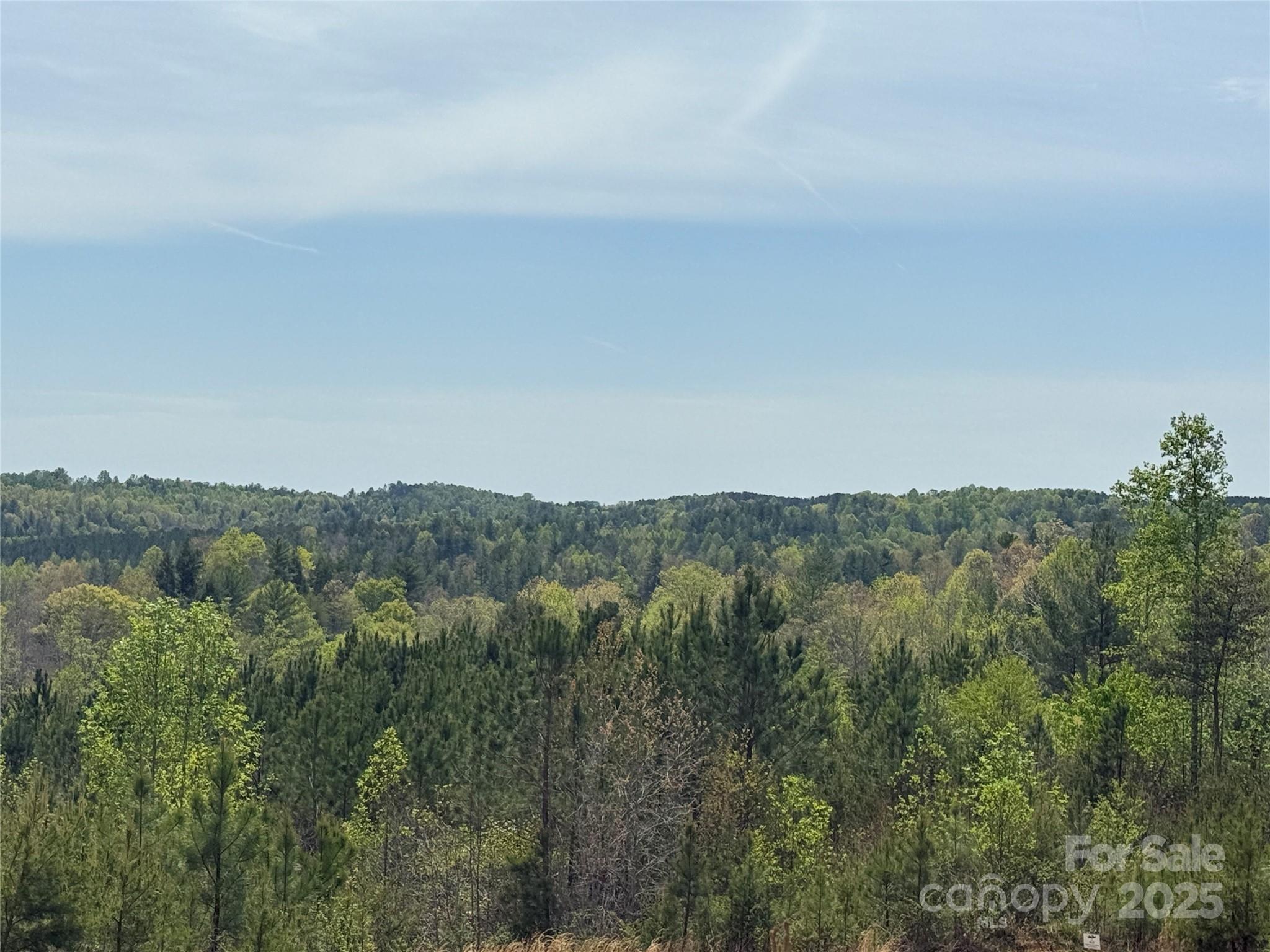 0 Low Valley Way 941 Property Photo
