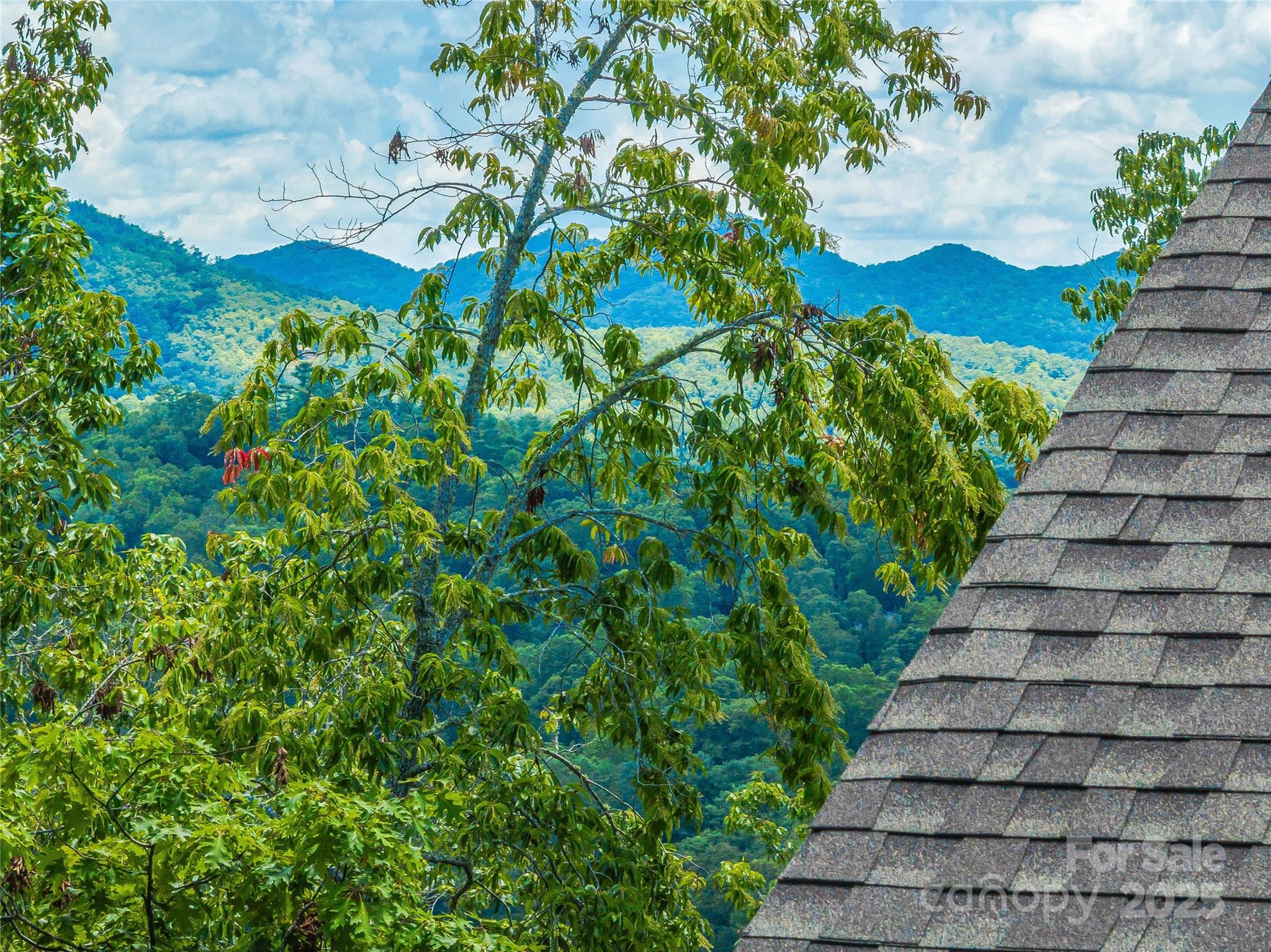 228 Allen Mountain Drive Property Photo 41