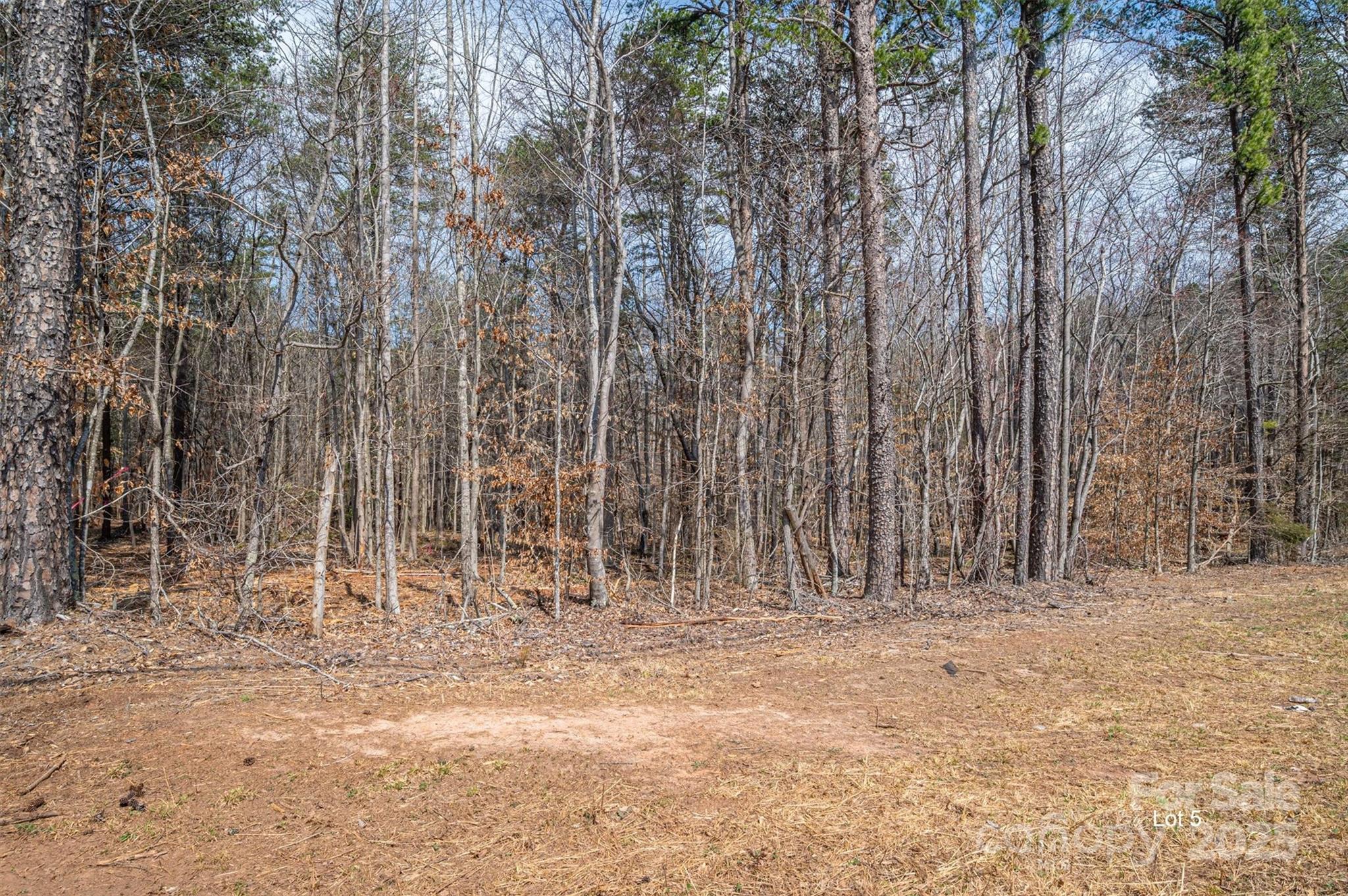 00 Forney Hill Road 5 Property Photo 1