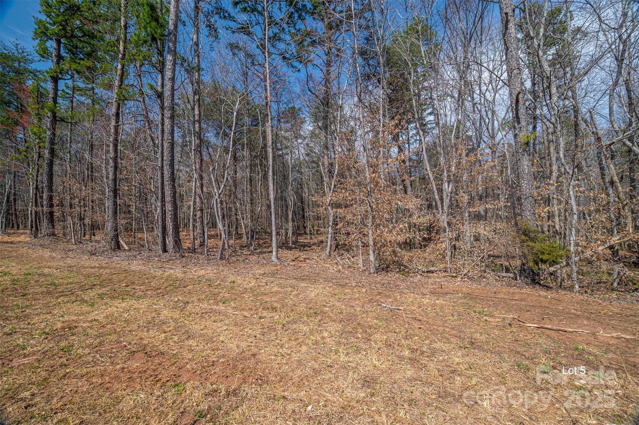 00 Forney Hill Road 5 Property Photo 2