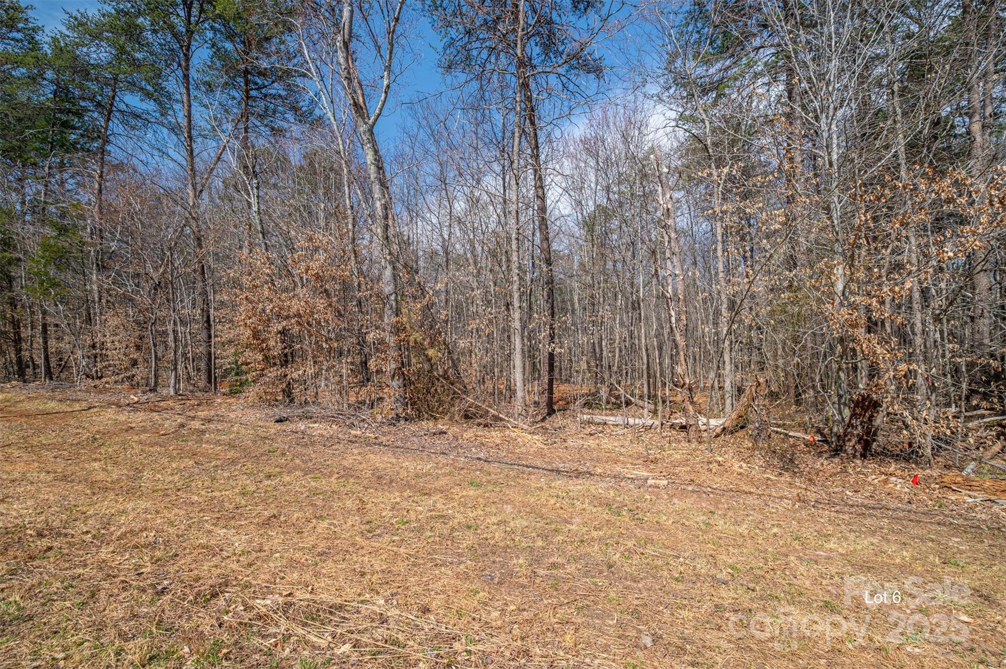 00 Forney Hill Road 6 Property Photo 4