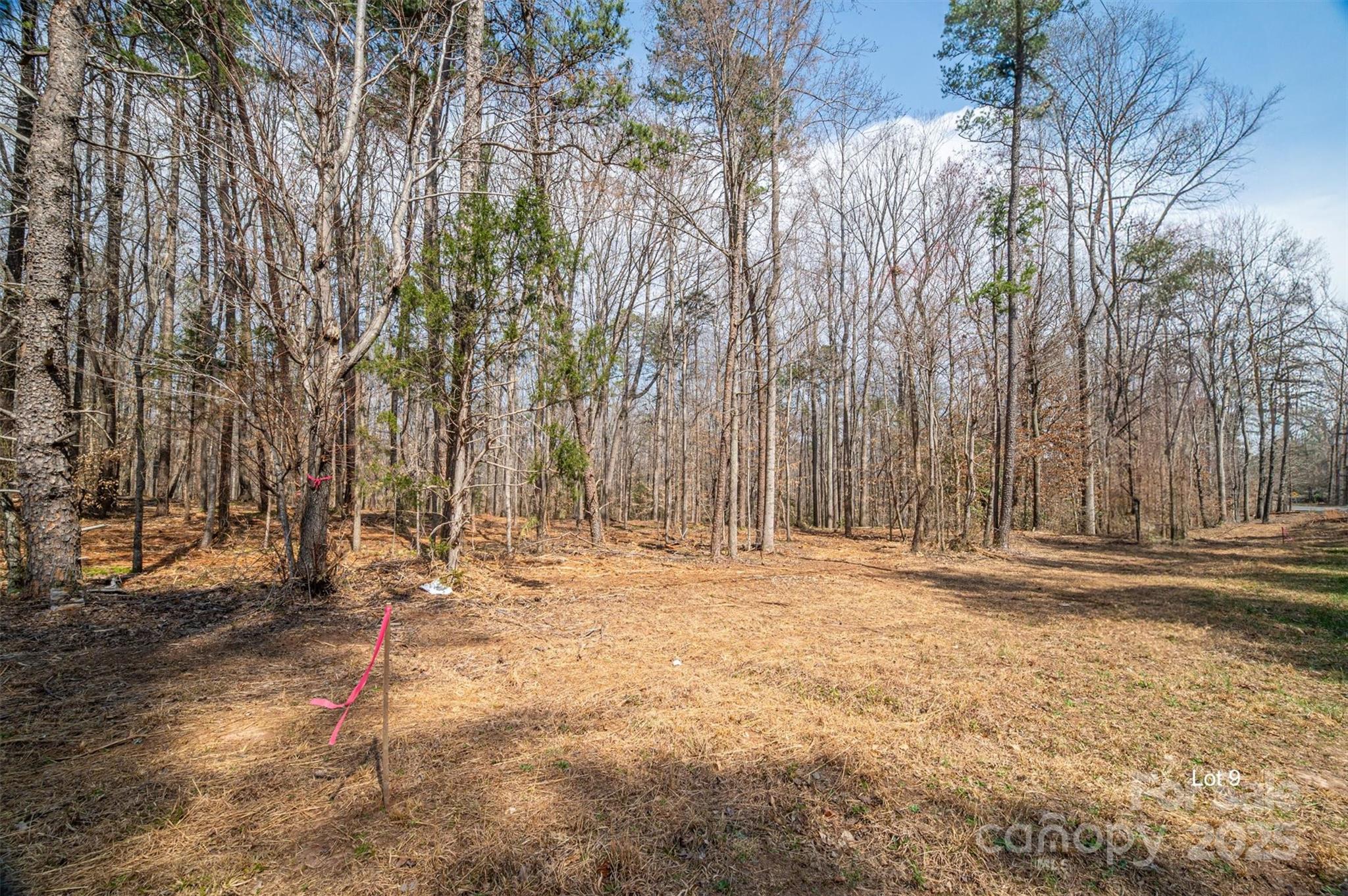 00 Forney Hill Road 9 Property Photo 3