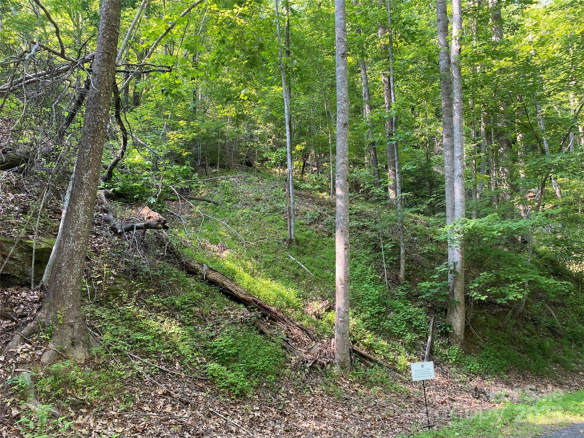 0 South Drive 51 Property Photo 3