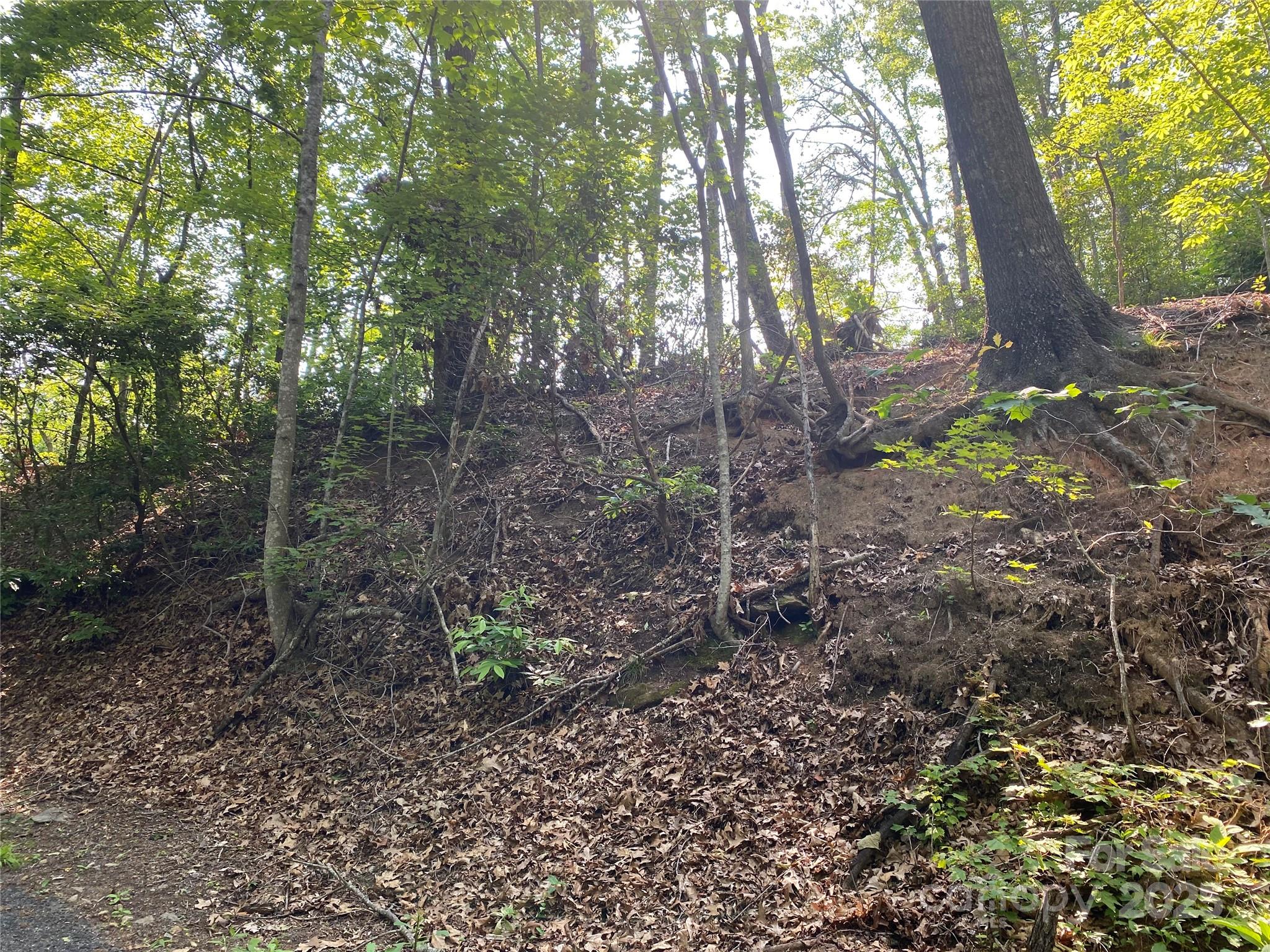 0 South Drive 51 Property Photo 4