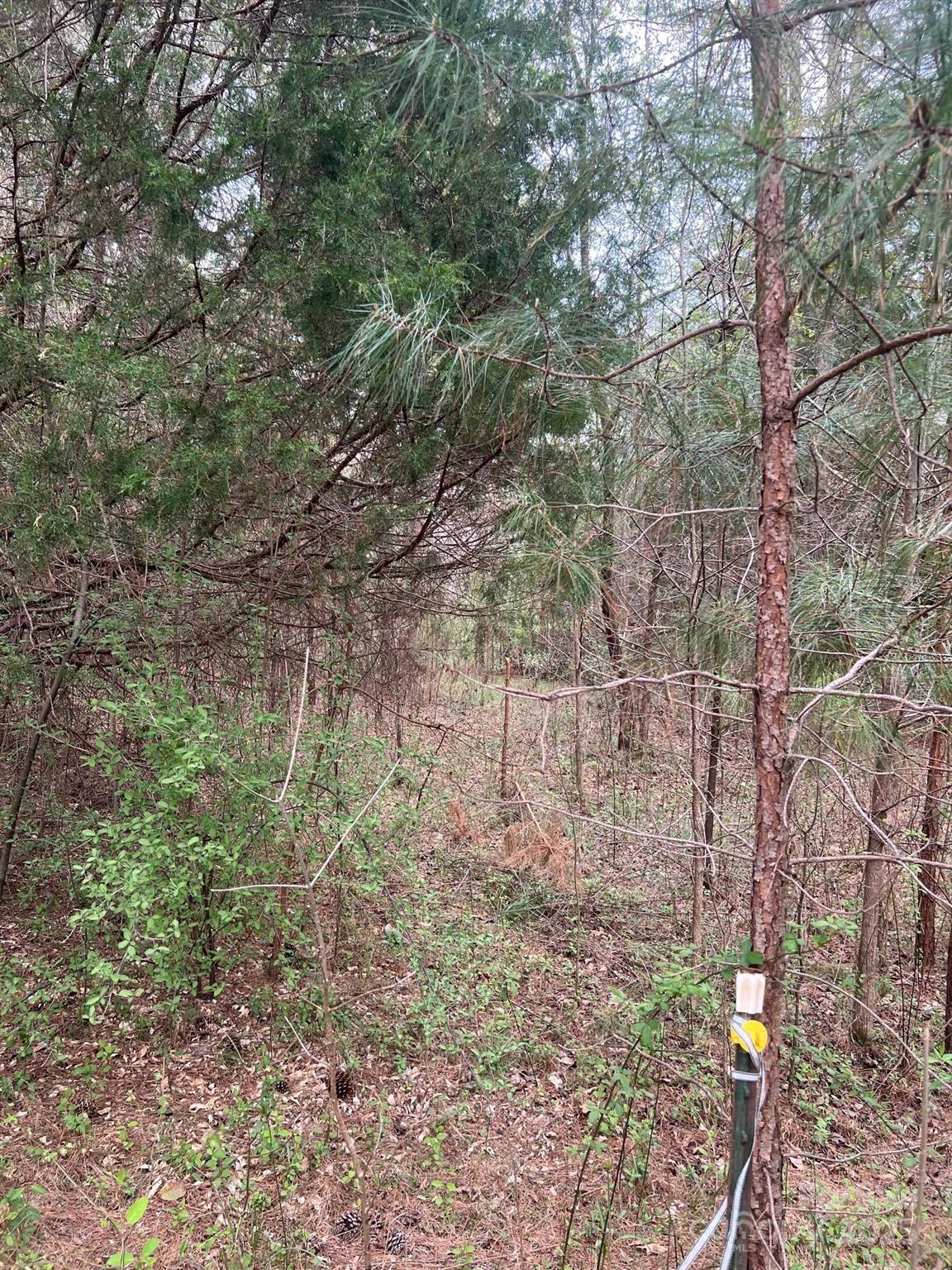 11055 Graybark Road Property Photo 4