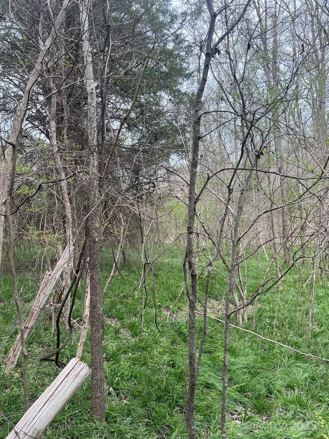 11055 Graybark Road Property Photo 5