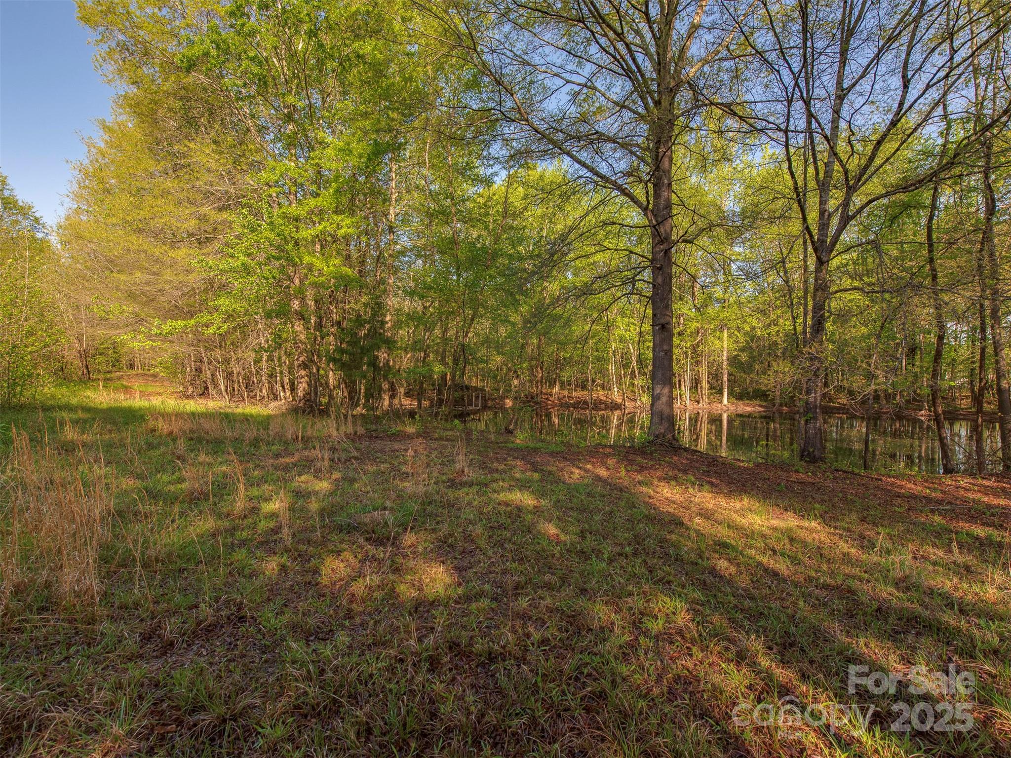 7.46 Vacant Elm Street Property Photo 2
