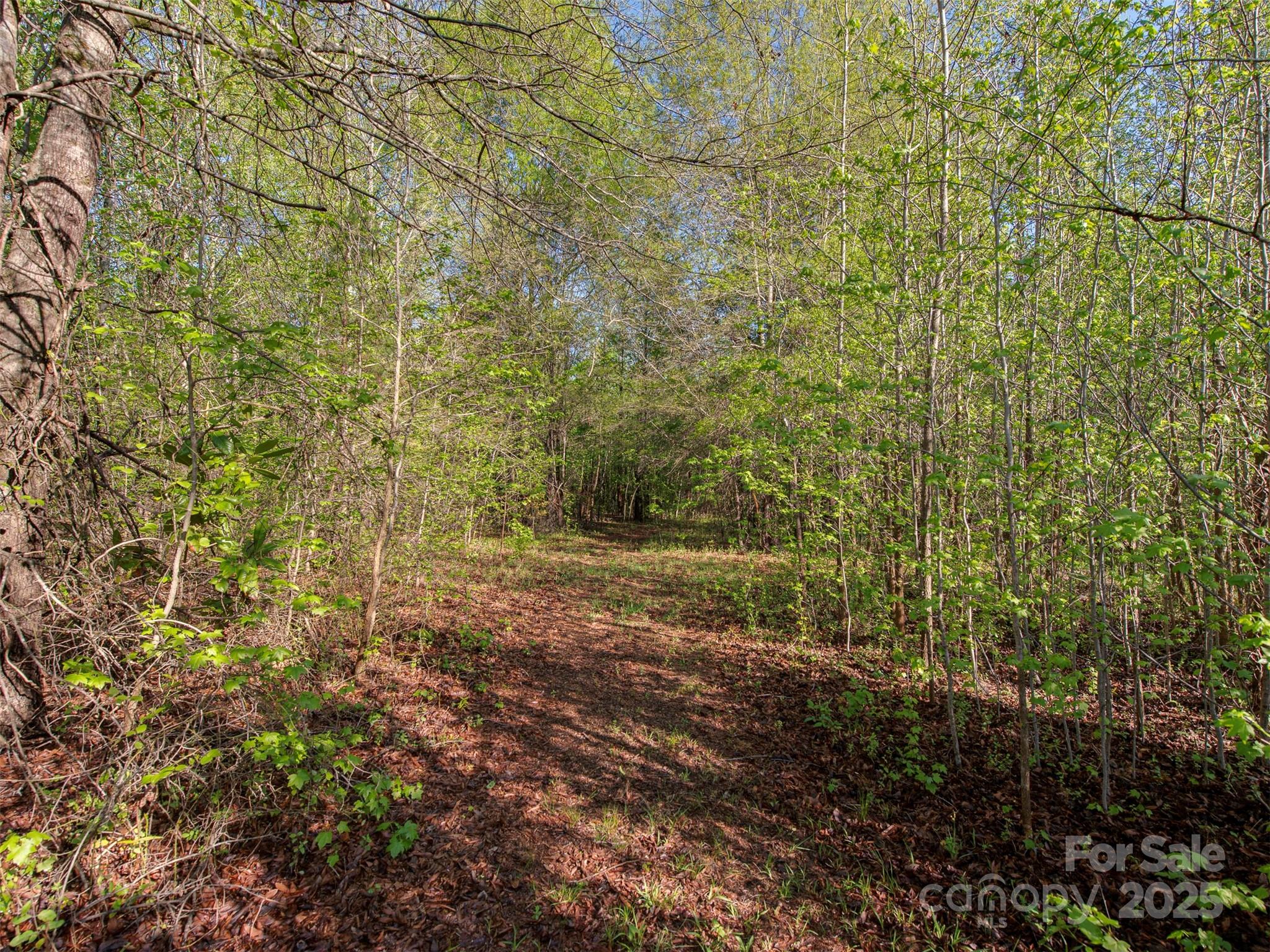 7.46 Vacant Elm Street Property Photo 3