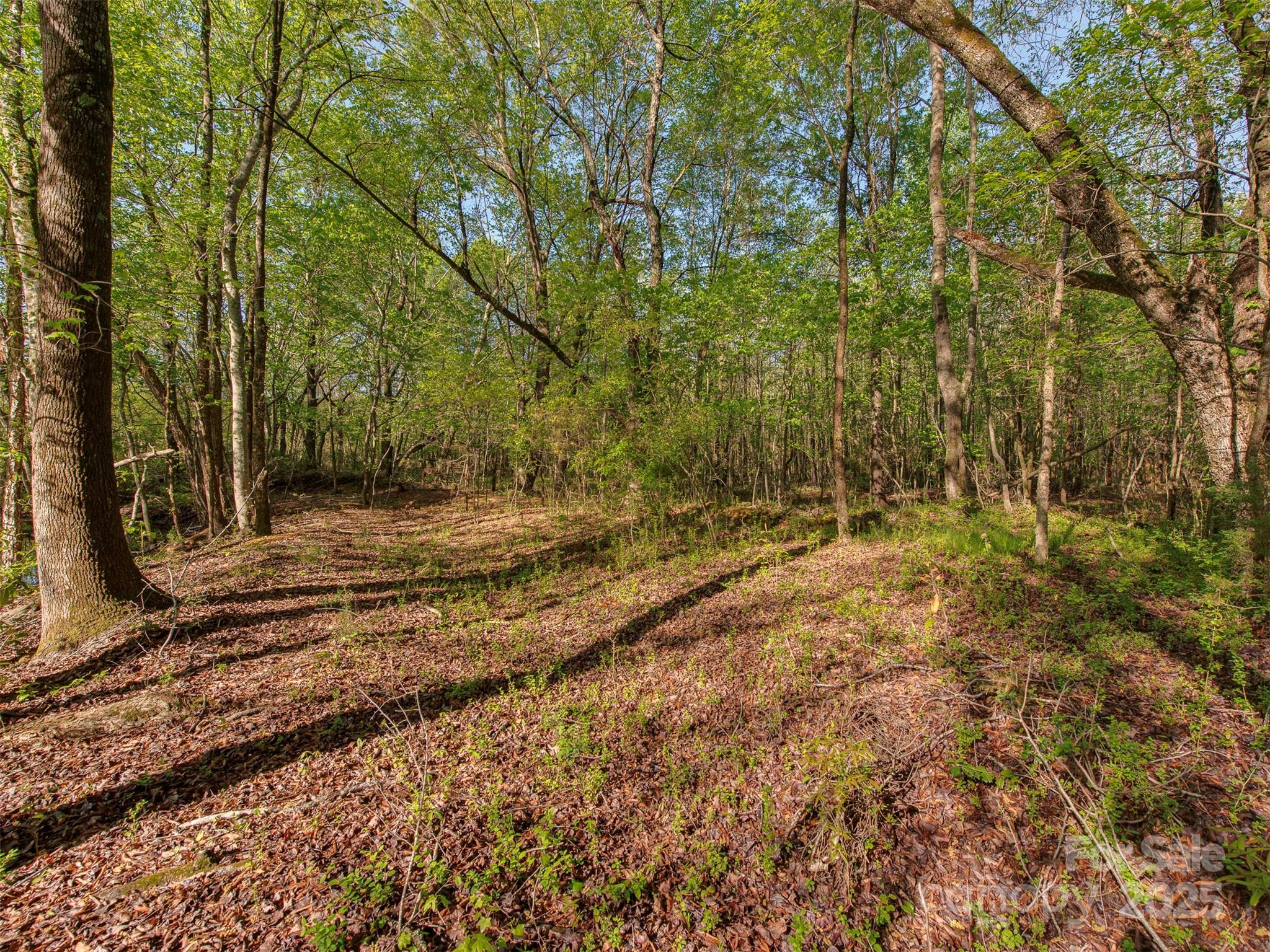 7.46 Vacant Elm Street Property Photo 5