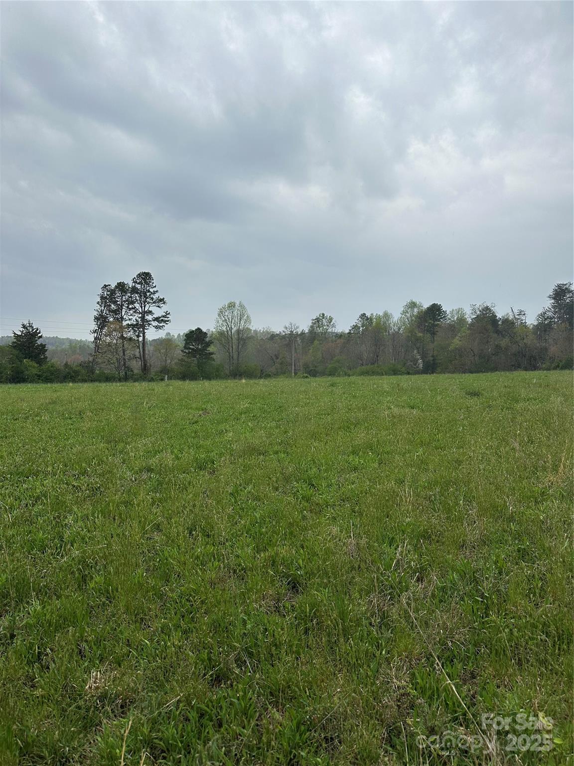 0 Piney Knob Road Property Photo 2