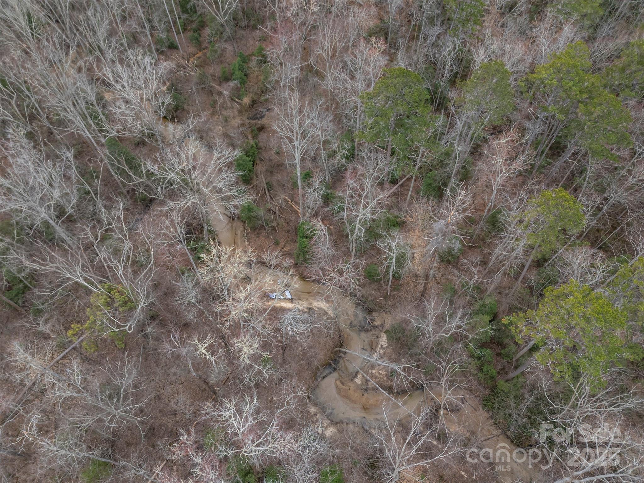0 Piney Knob Road Property Photo 6