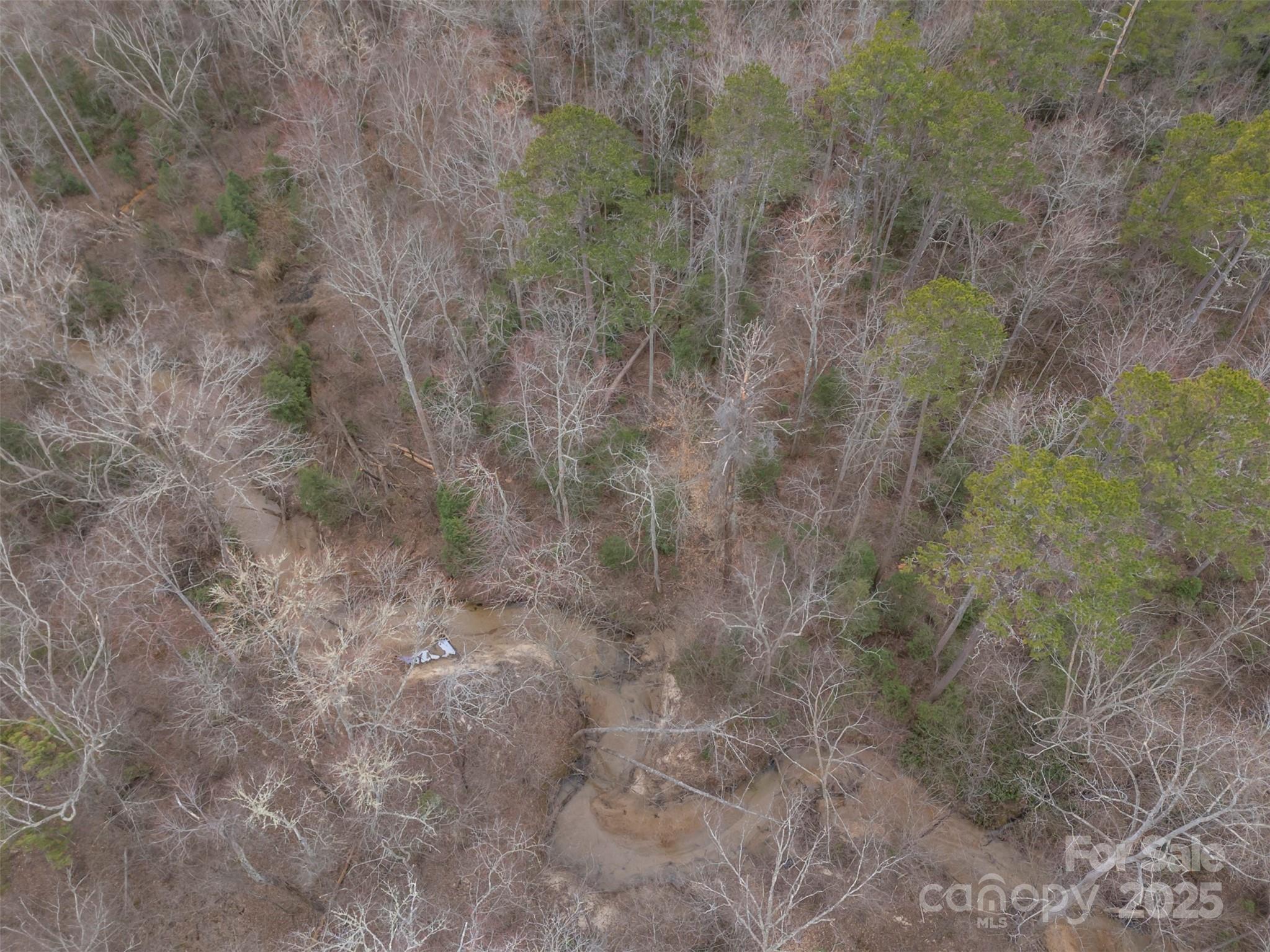 0 Piney Knob Road Property Photo 7
