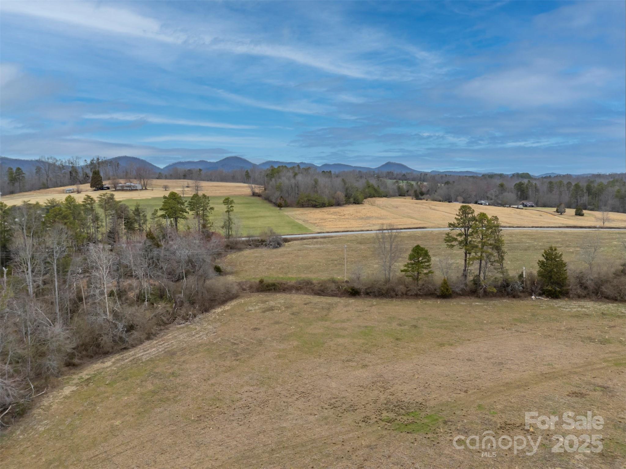 0 Piney Knob Road Property Photo 8
